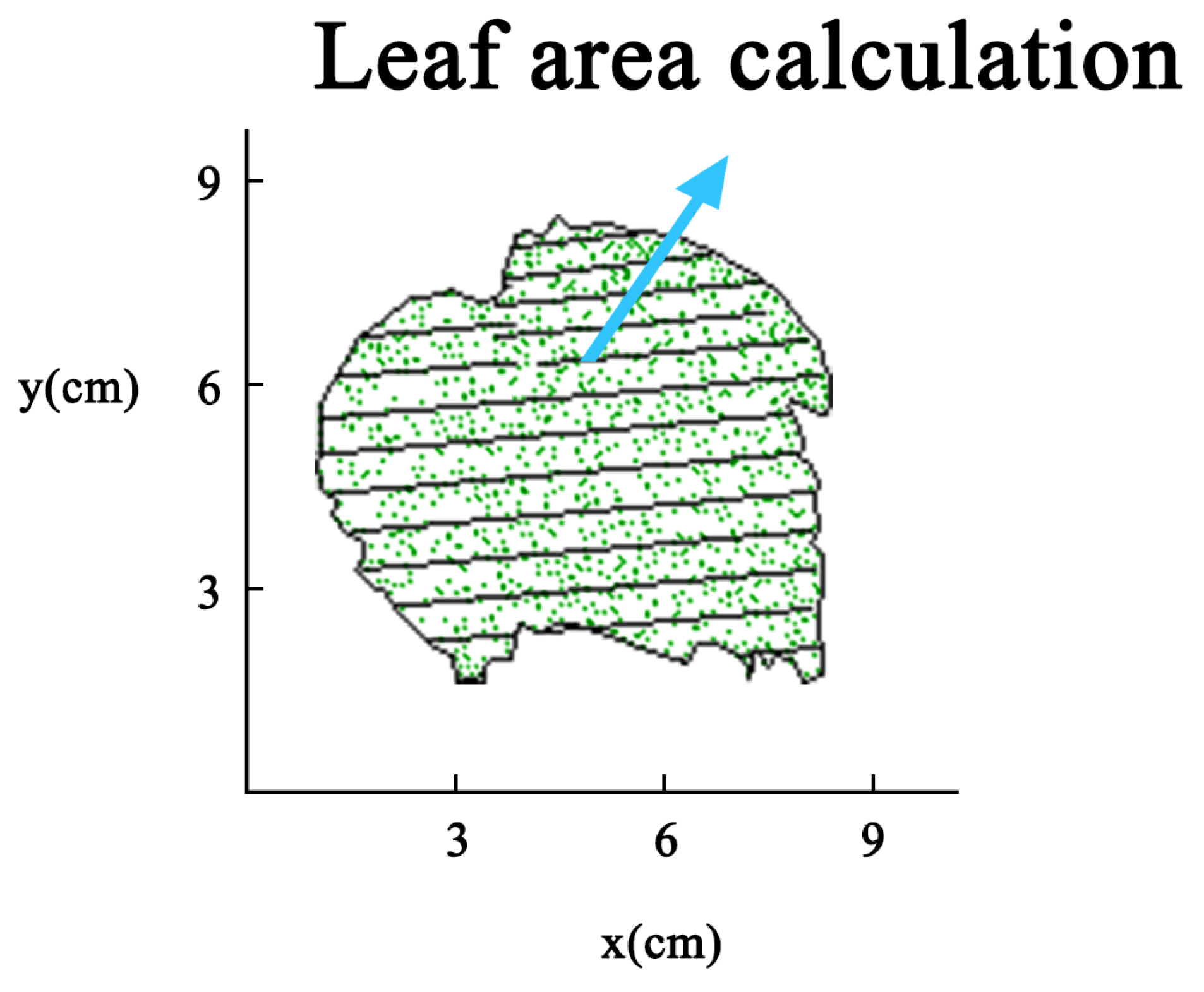 Agronomy 14 01083 g008