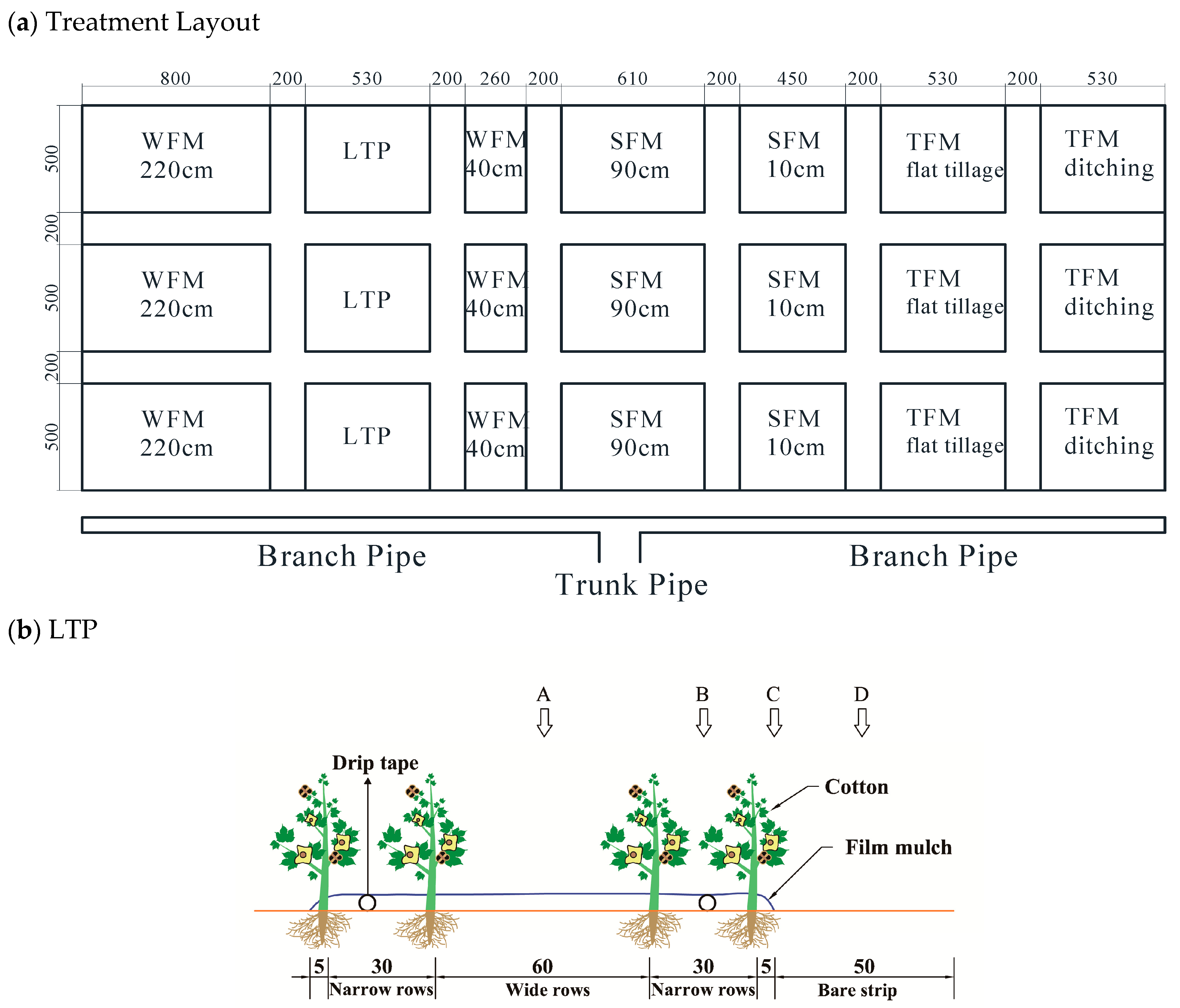 Agronomy 14 01103 g002a
