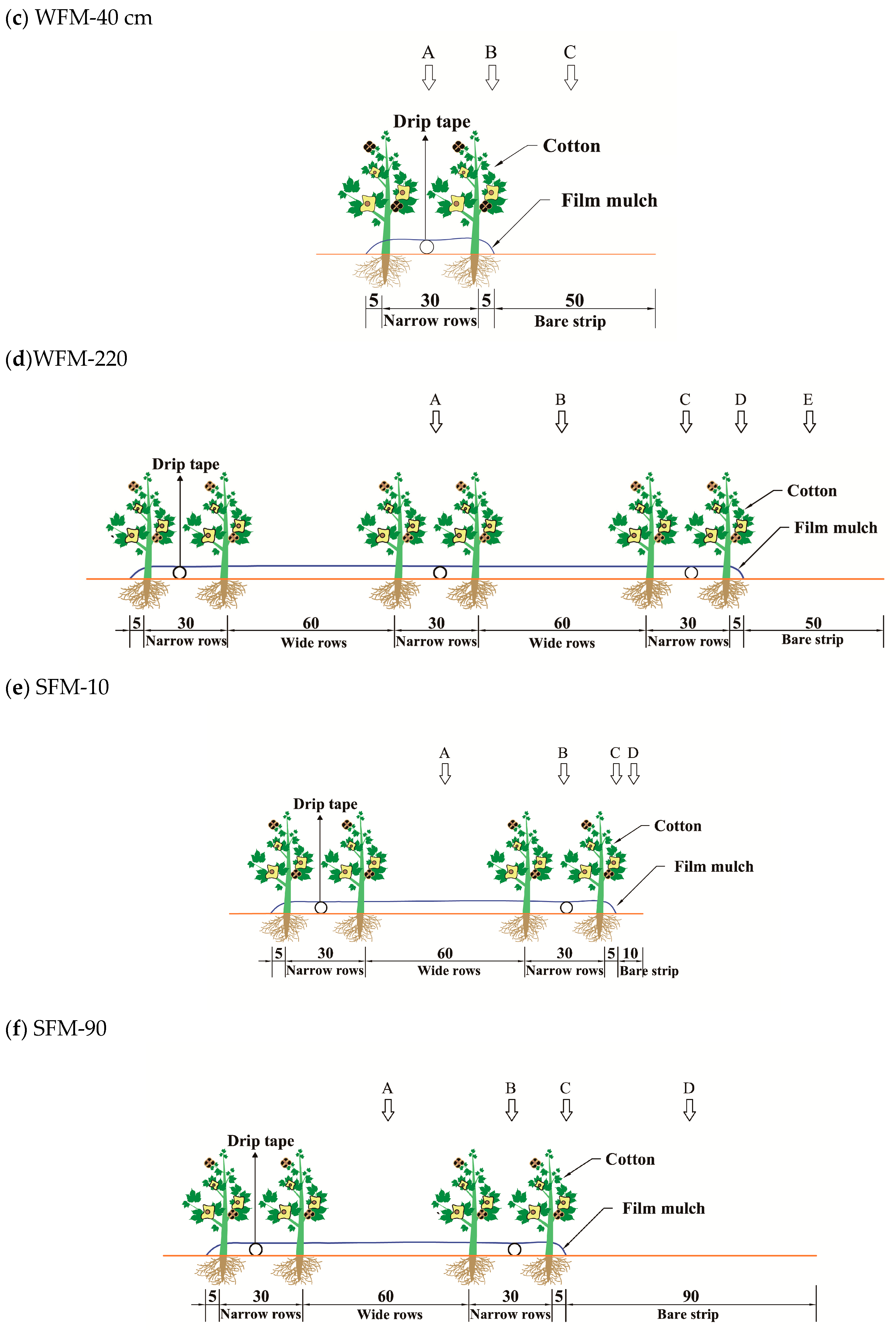 Agronomy 14 01103 g002b