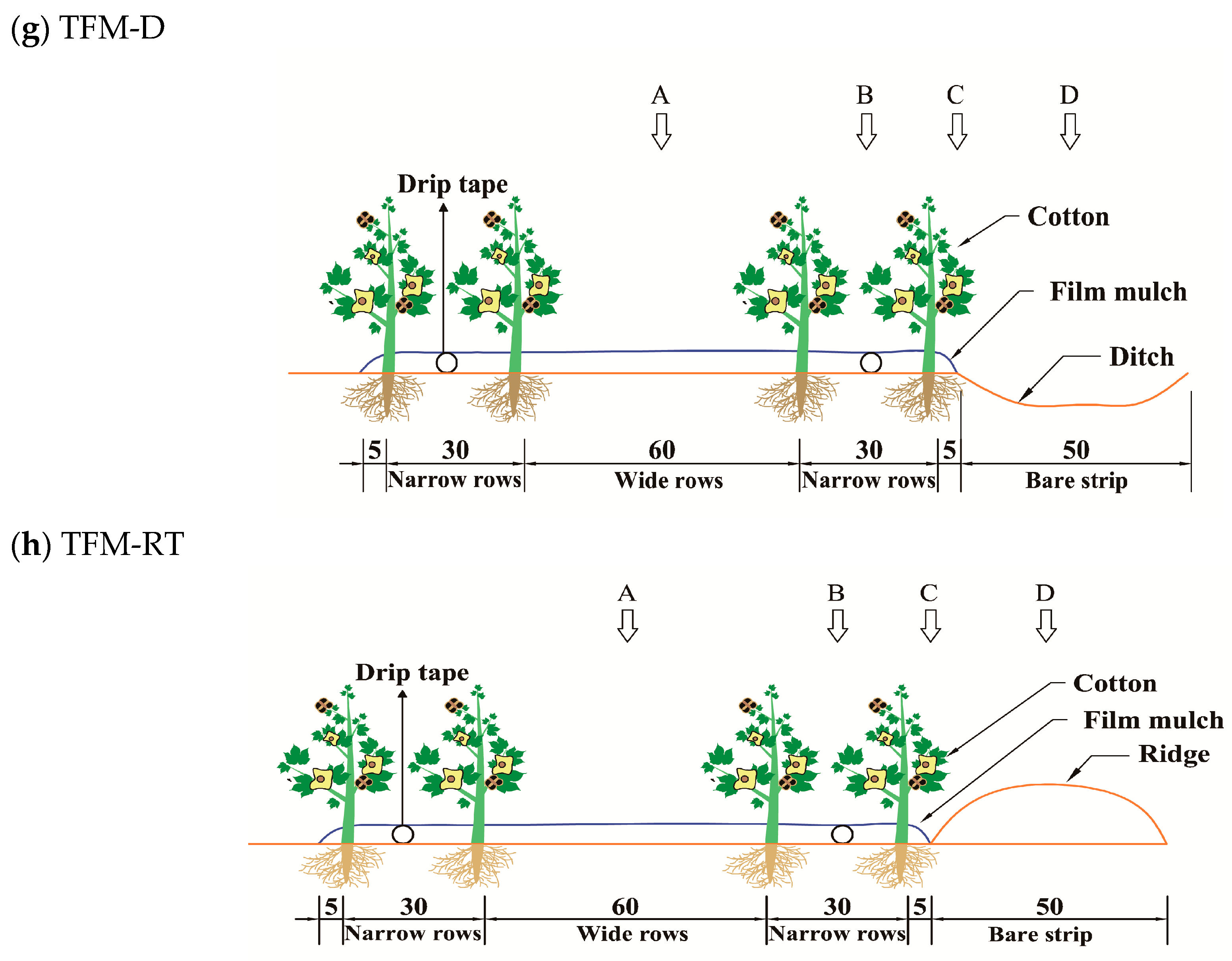 Agronomy 14 01103 g002c