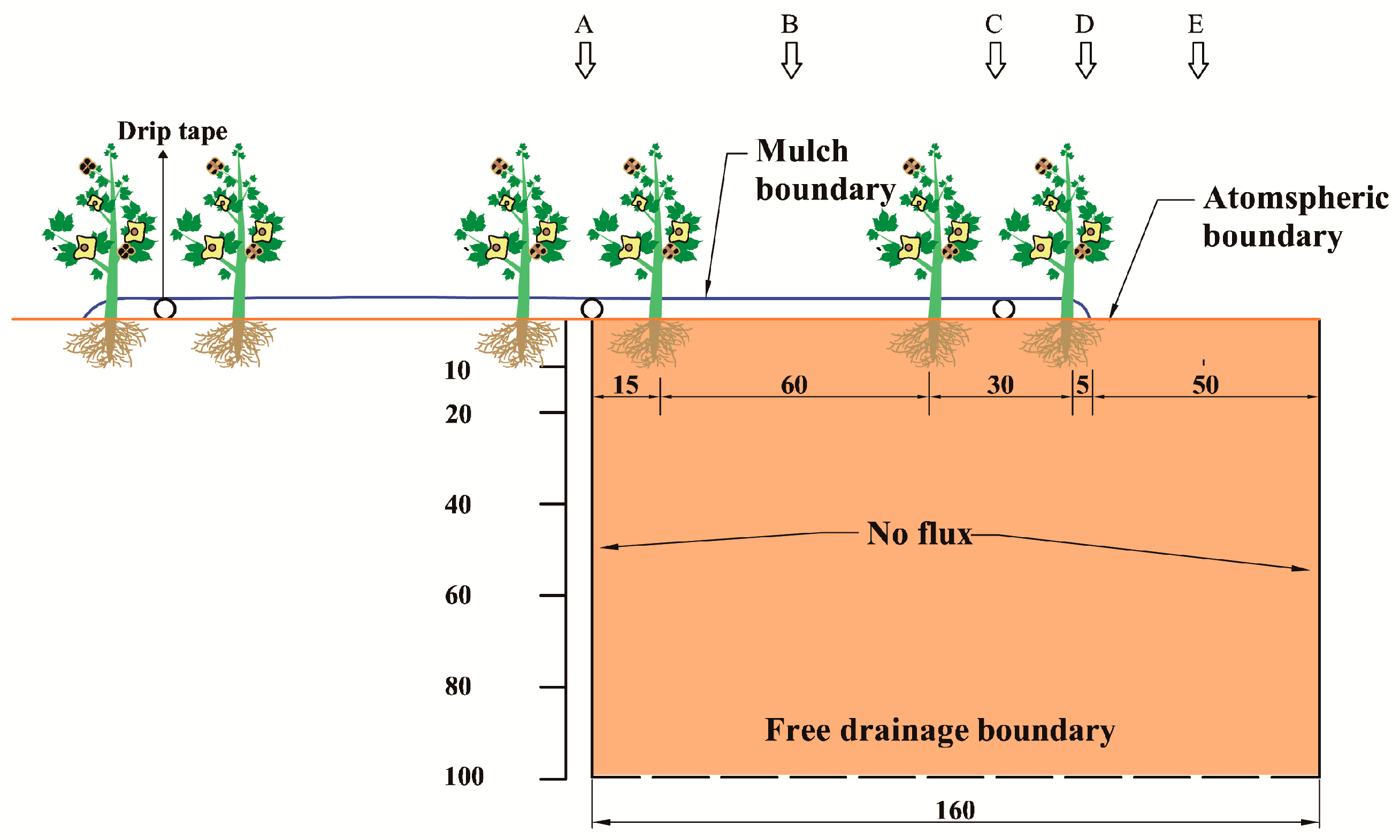 Agronomy 14 01103 g003
