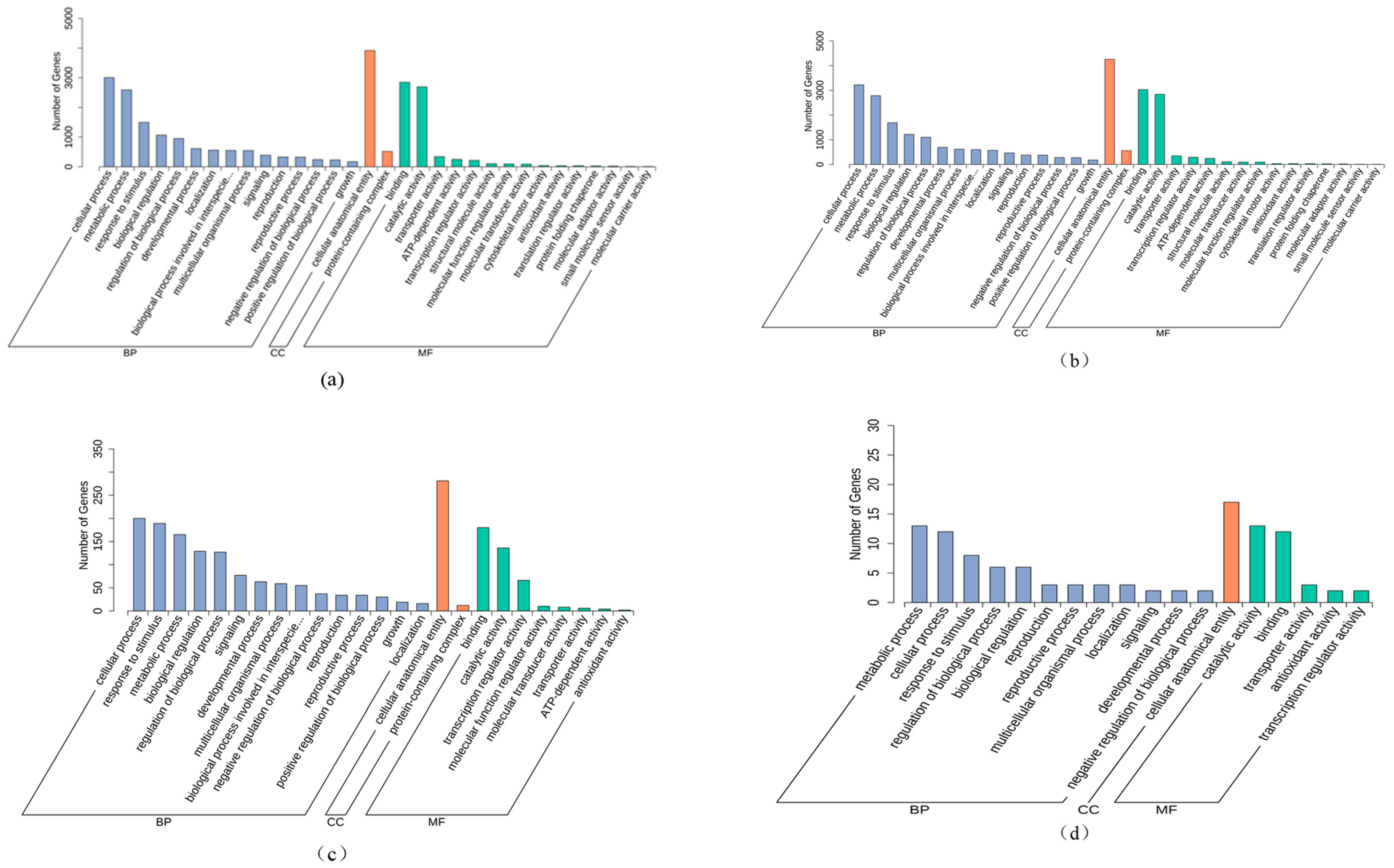 Agronomy 14 01105 g007