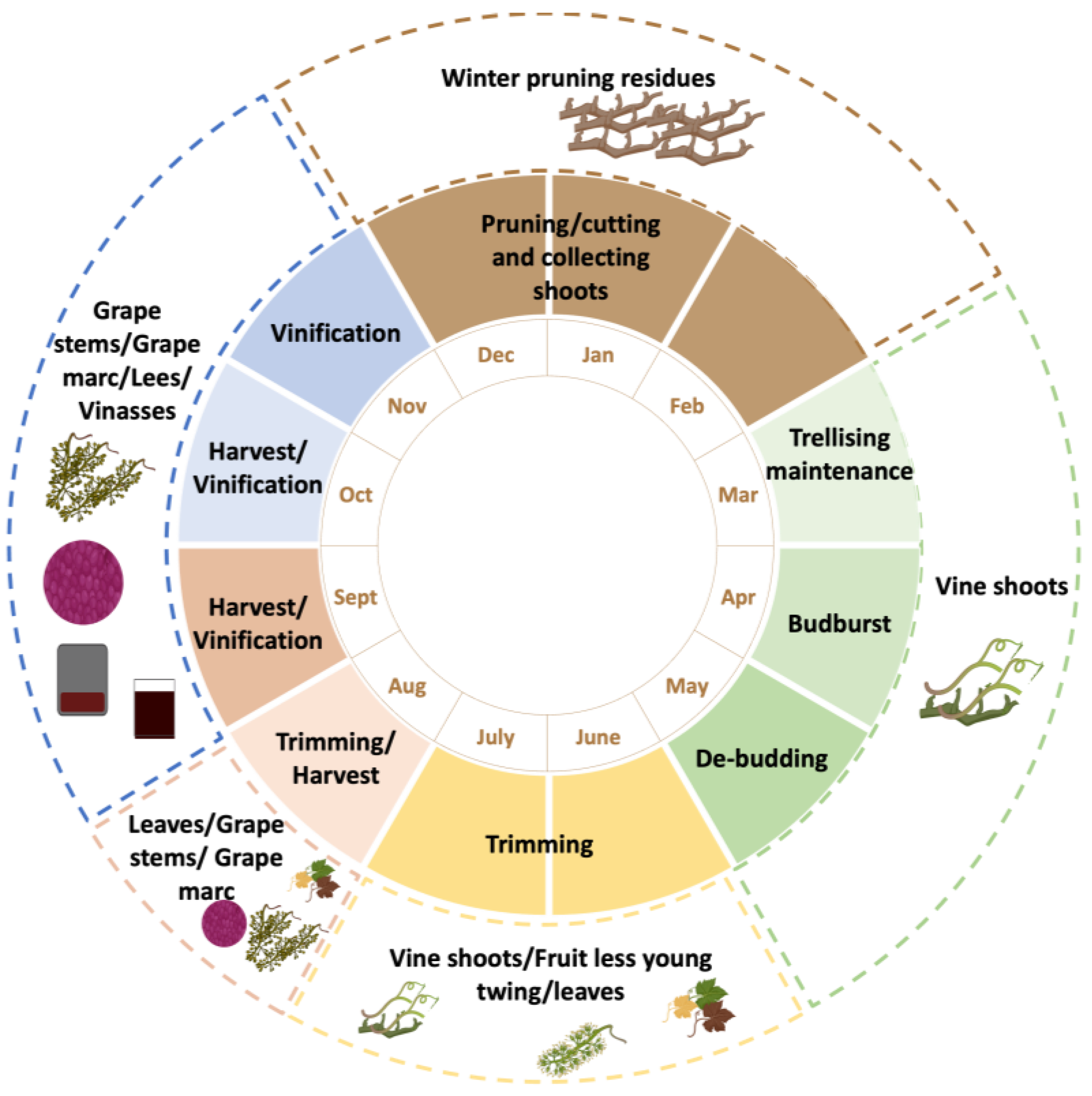 Agronomy 14 01111 g001 Agronomy 14 01111 g001