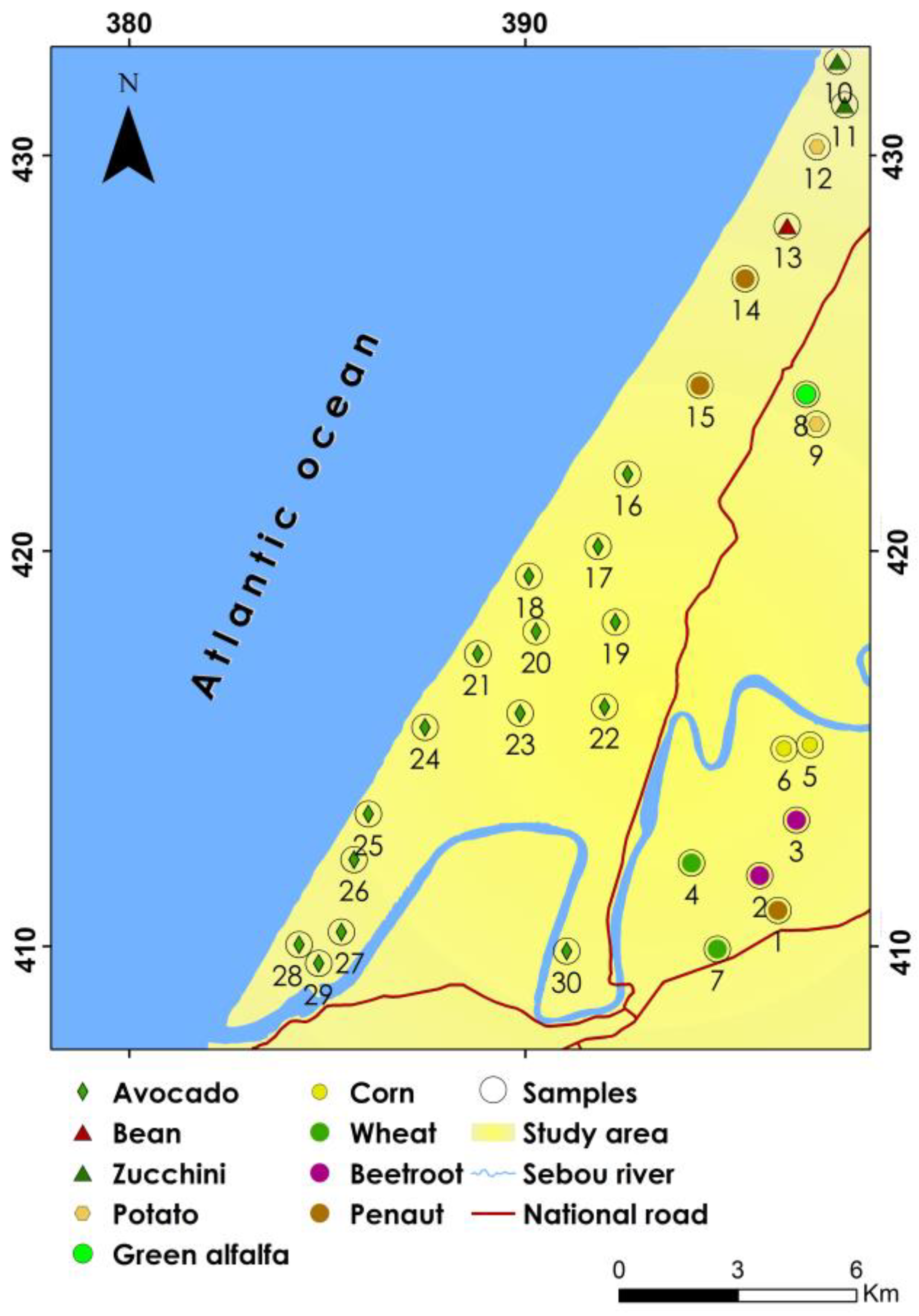 Agronomy 14 01112 g002