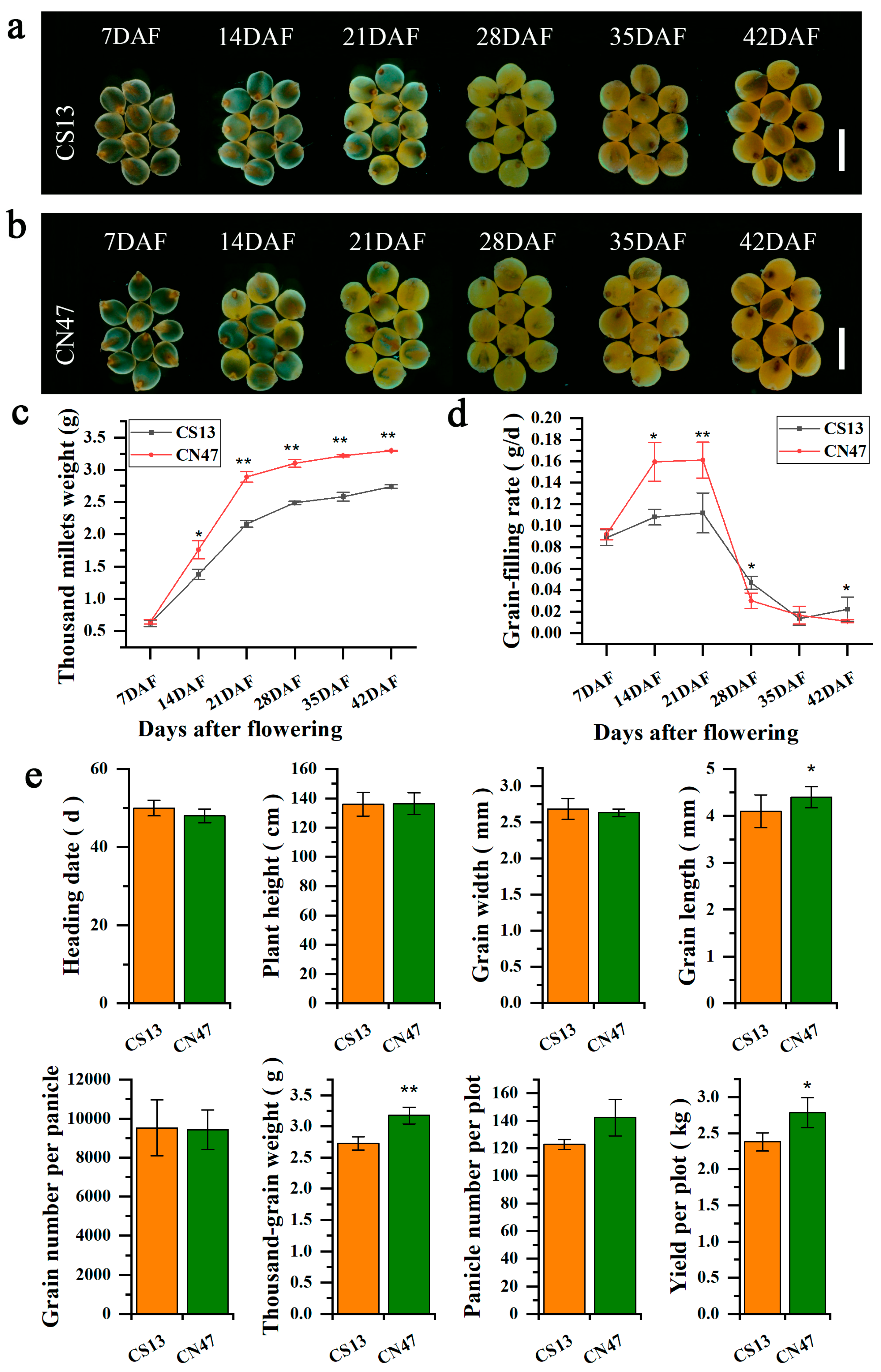 Agronomy 14 01114 g001