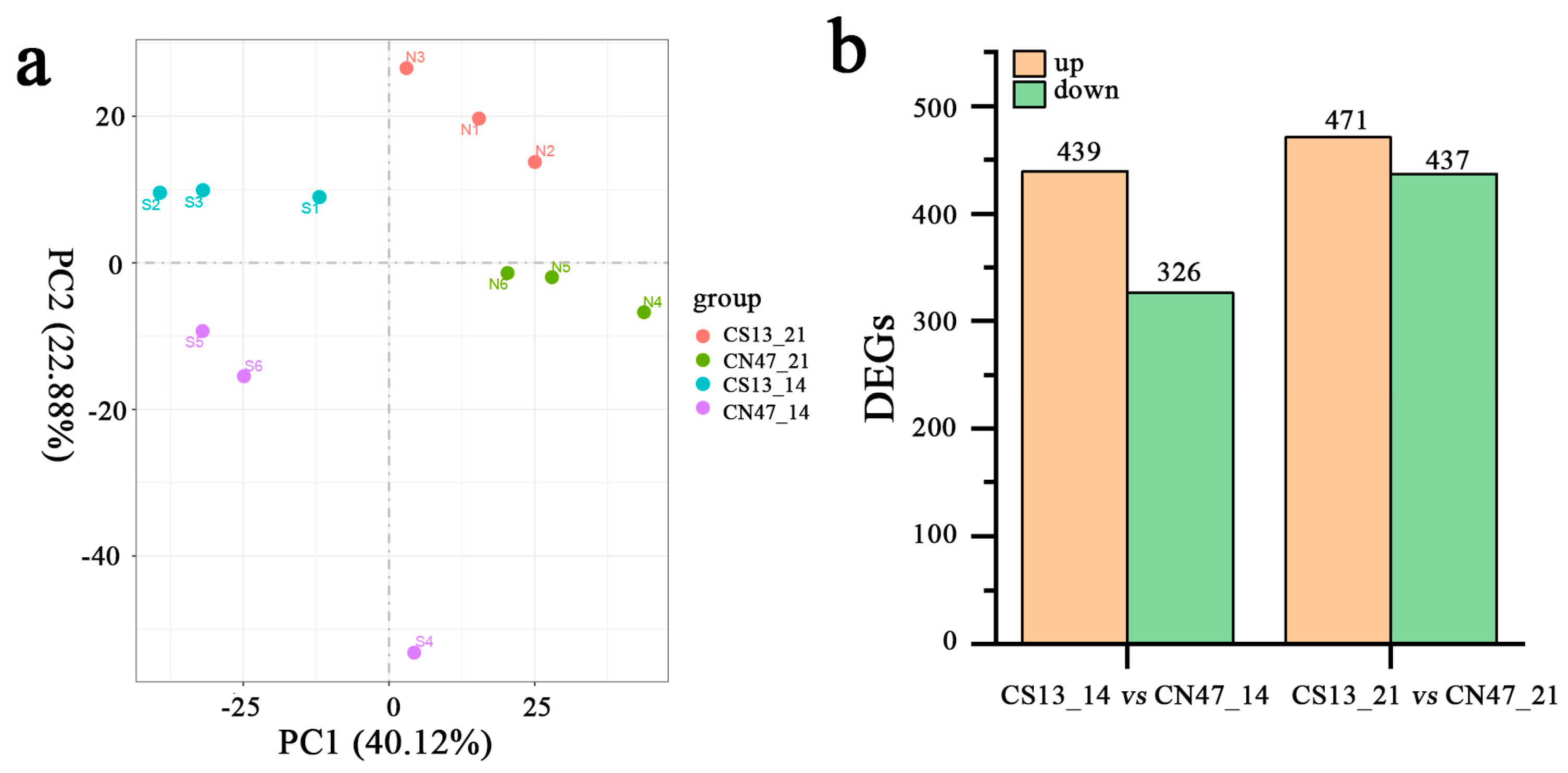 Agronomy 14 01114 g002