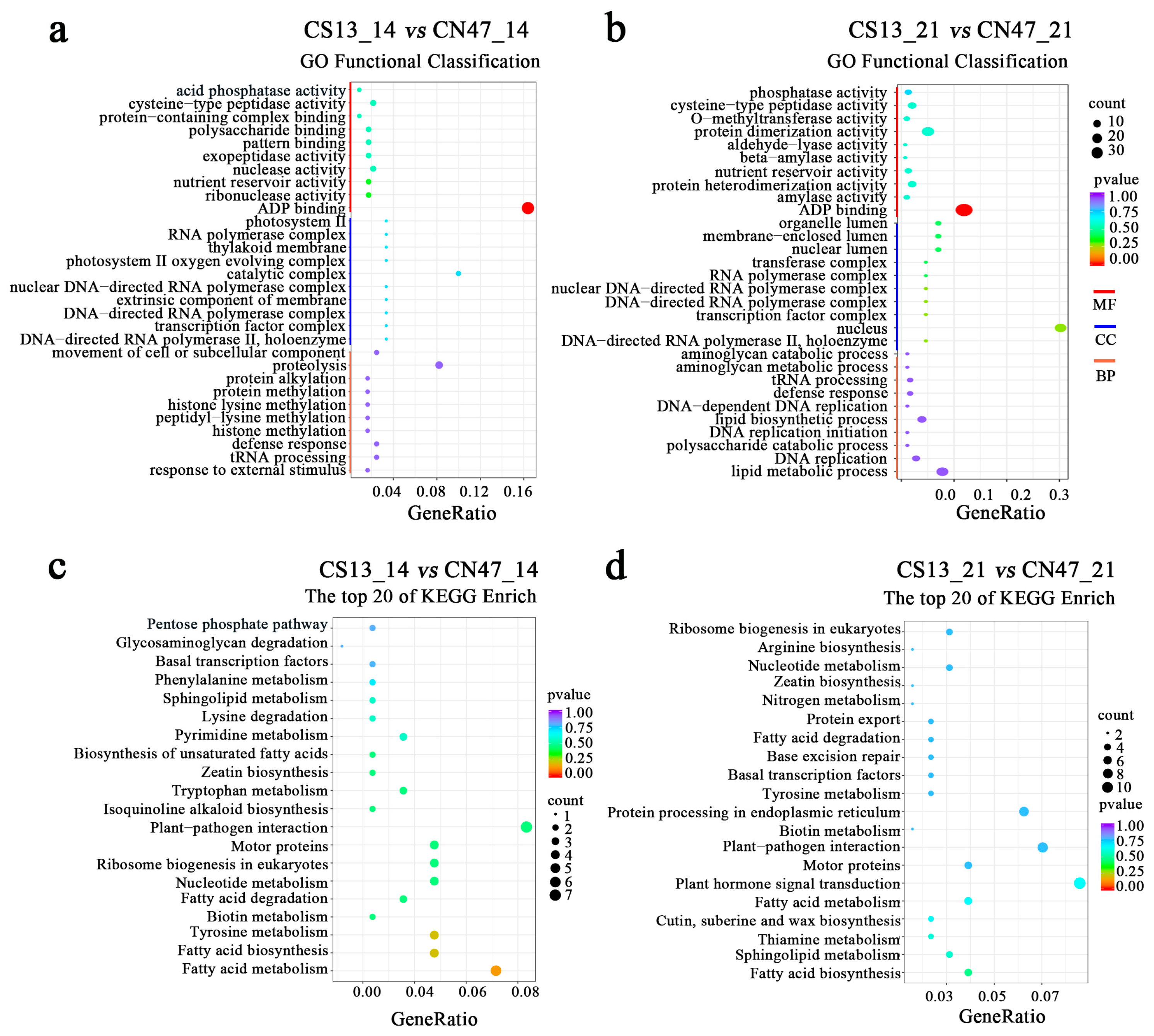 Agronomy 14 01114 g003