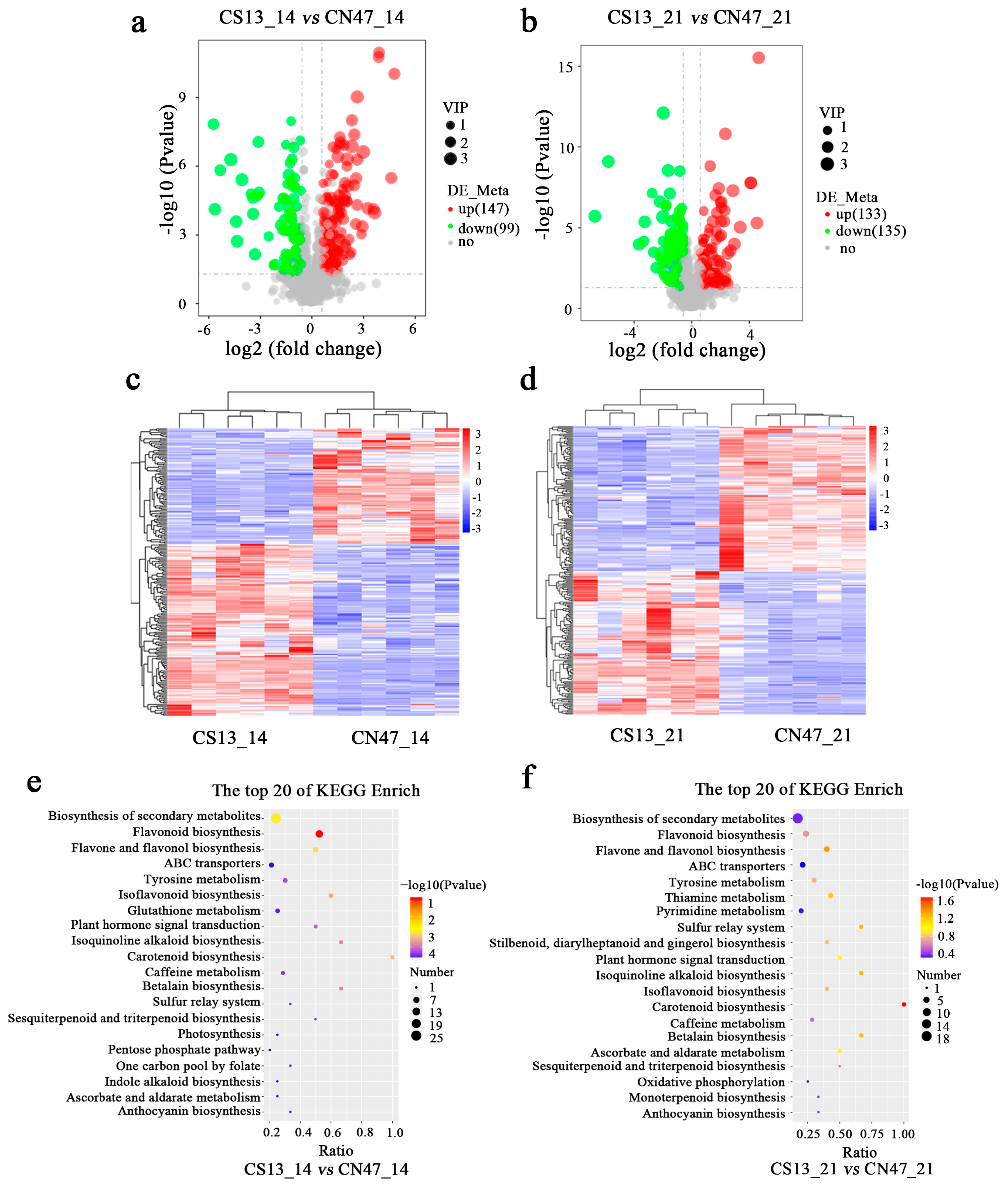 Agronomy 14 01114 g004