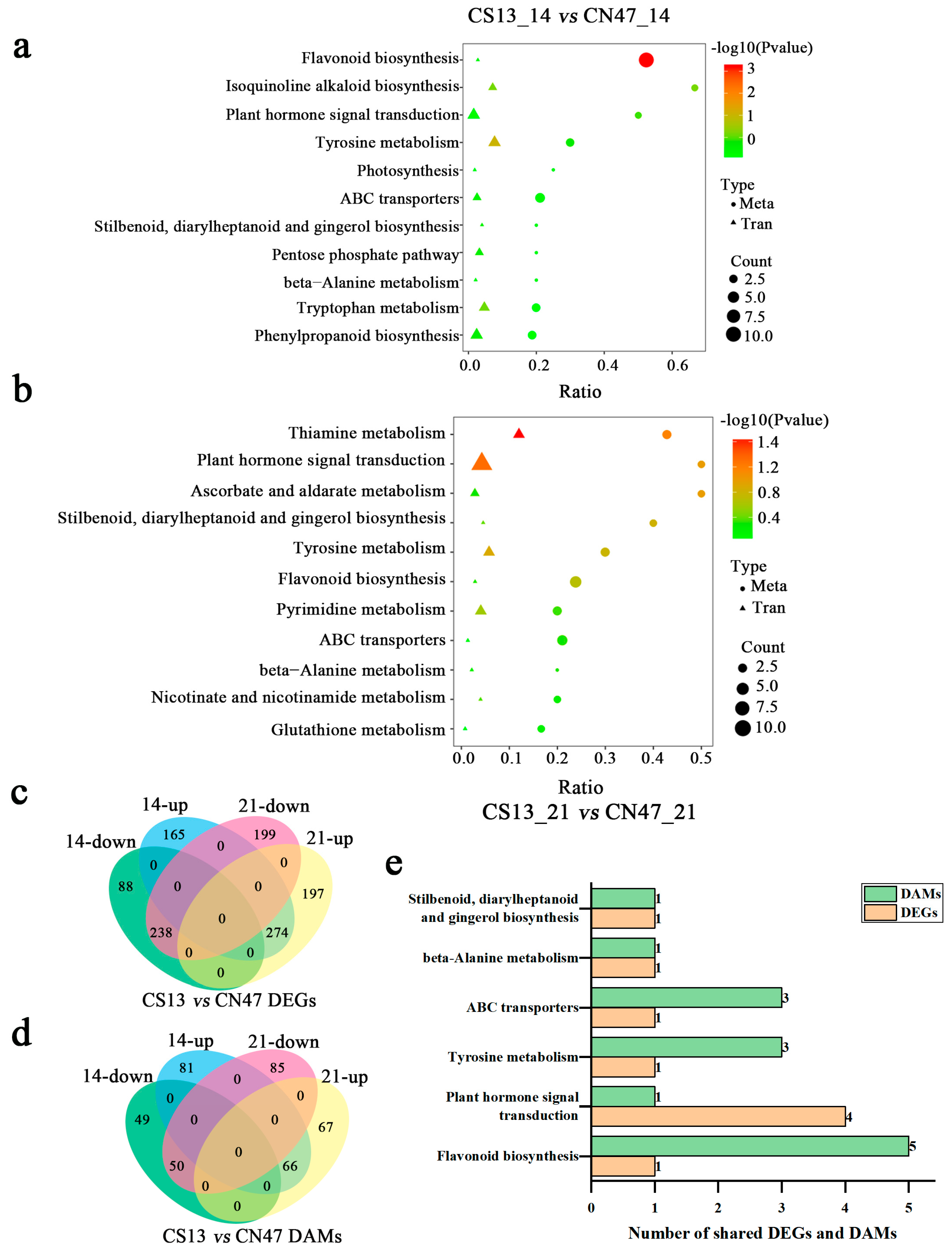 Agronomy 14 01114 g005