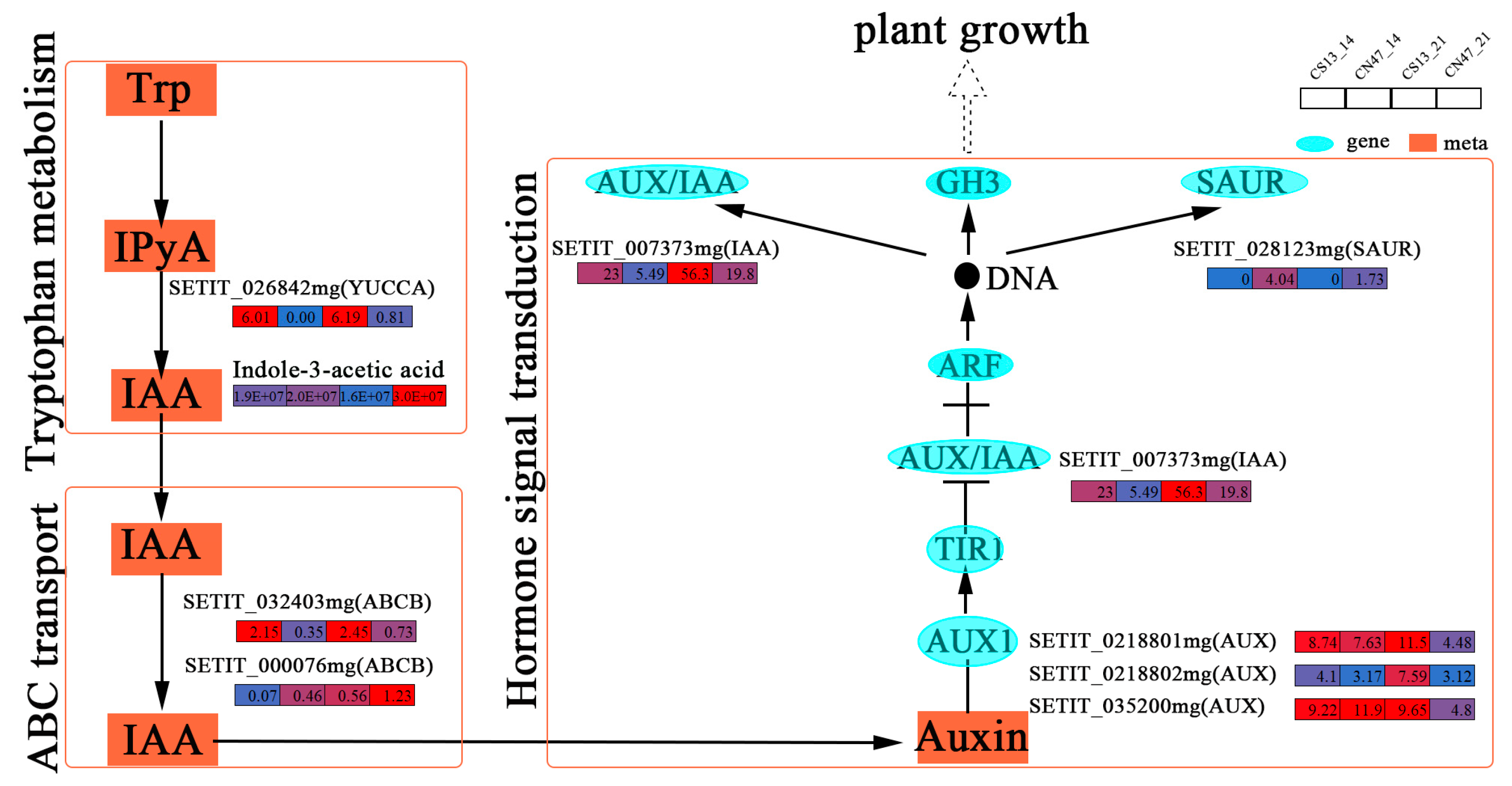 Agronomy 14 01114 g006