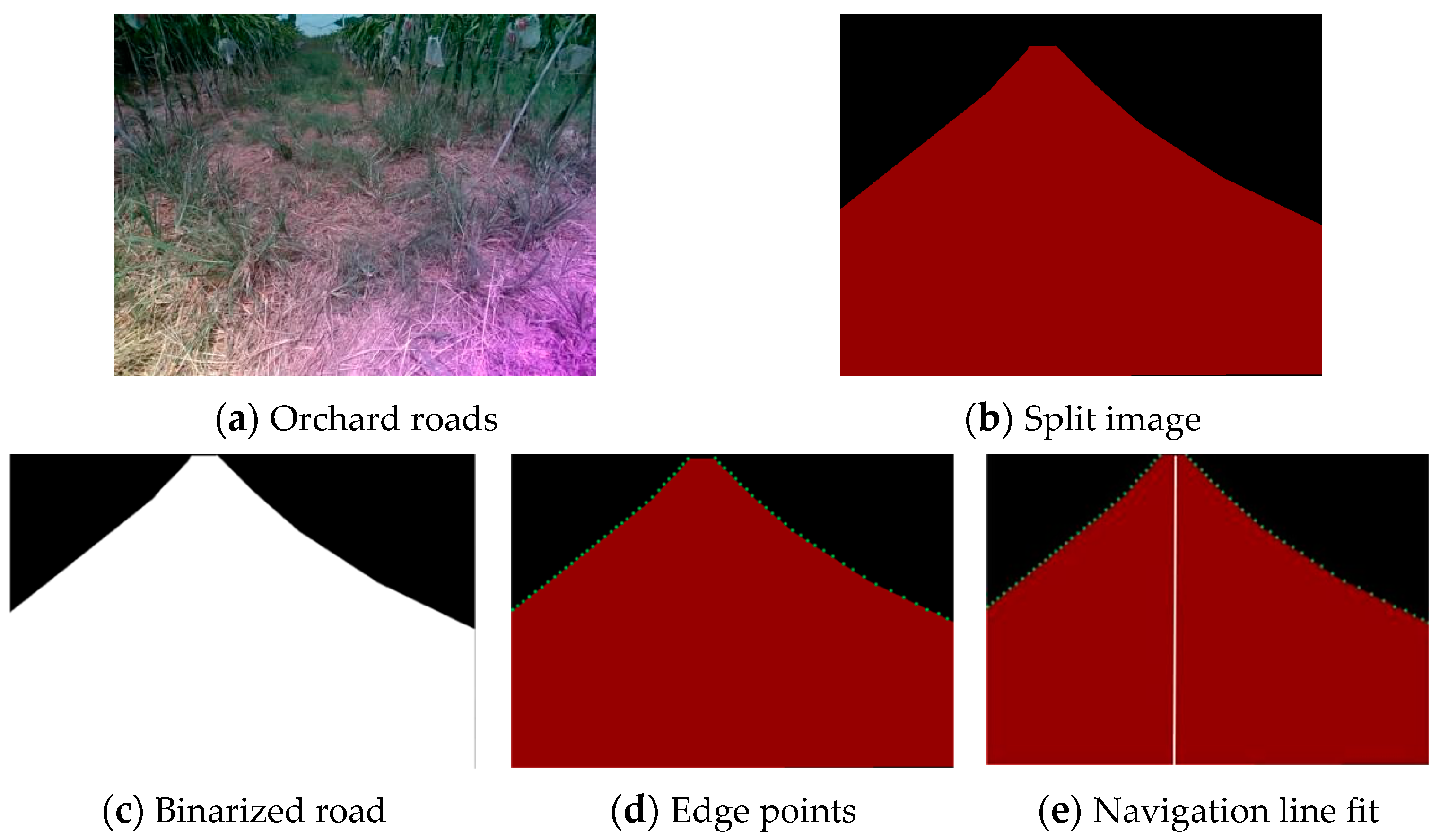 Agronomy 14 01119 g008