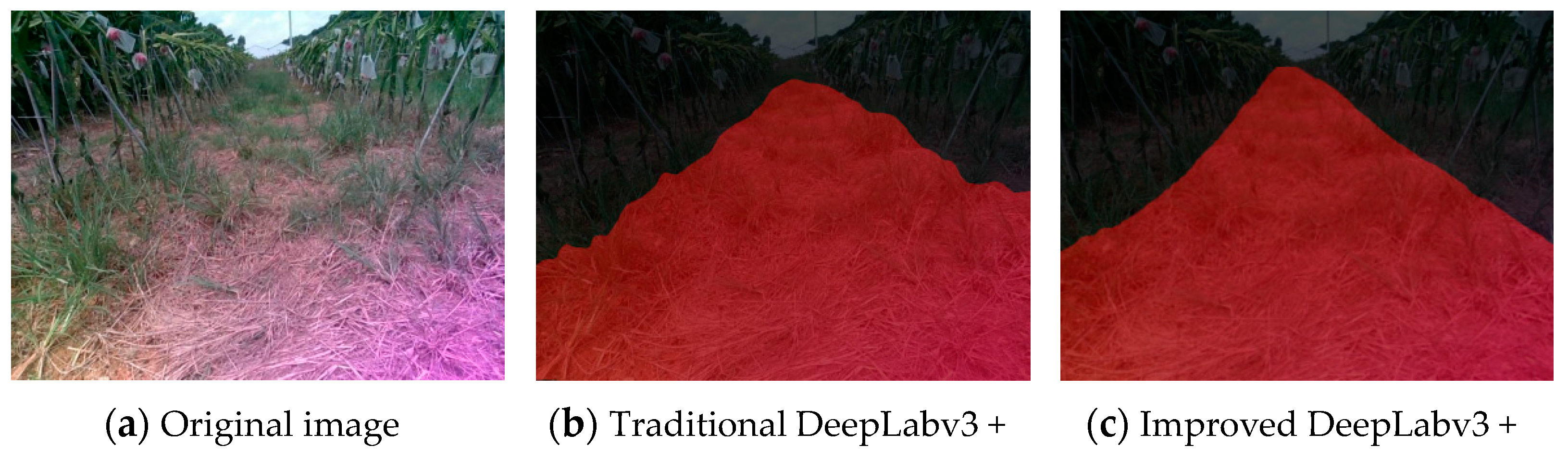 Agronomy 14 01119 g009