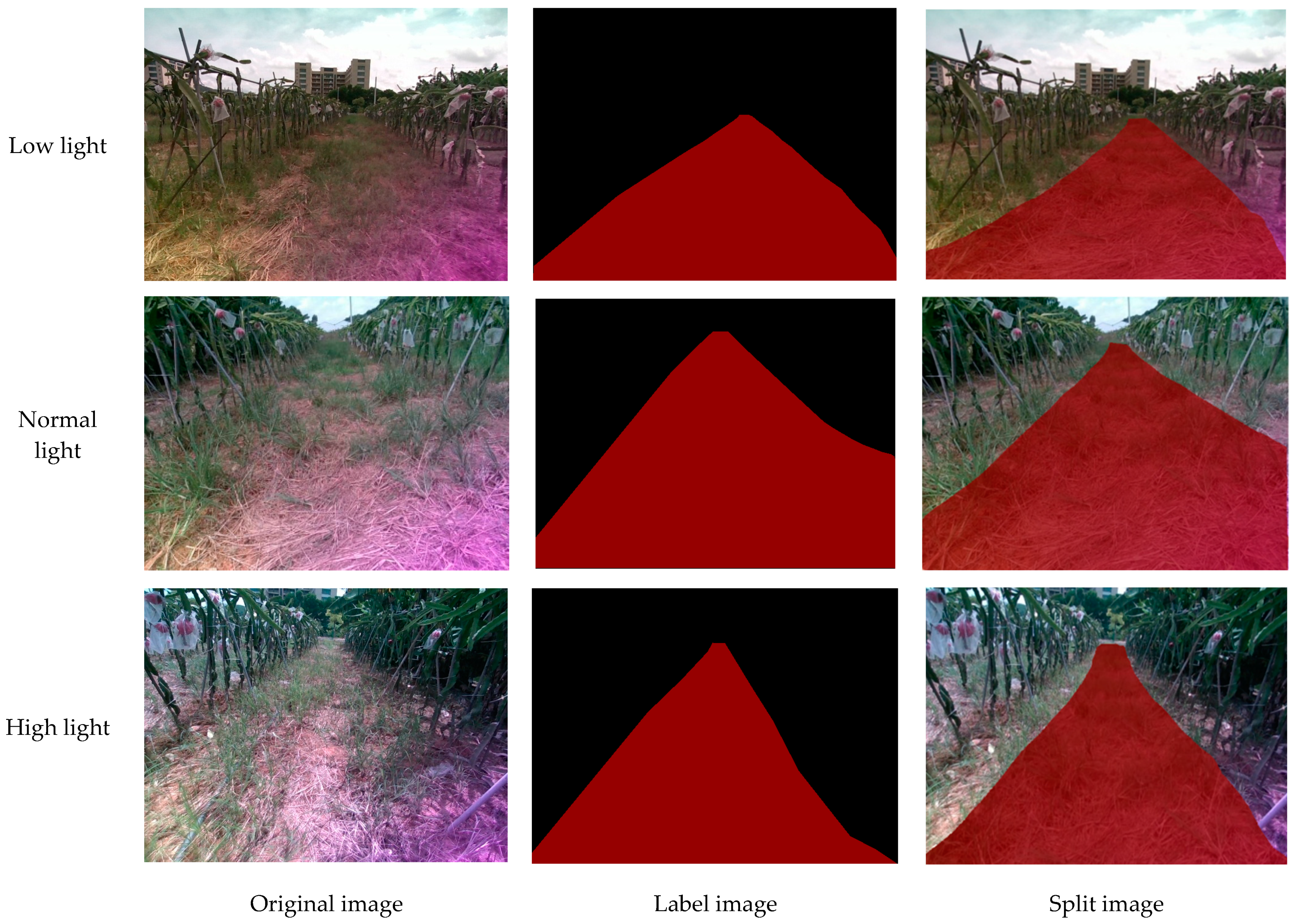 Agronomy 14 01119 g010