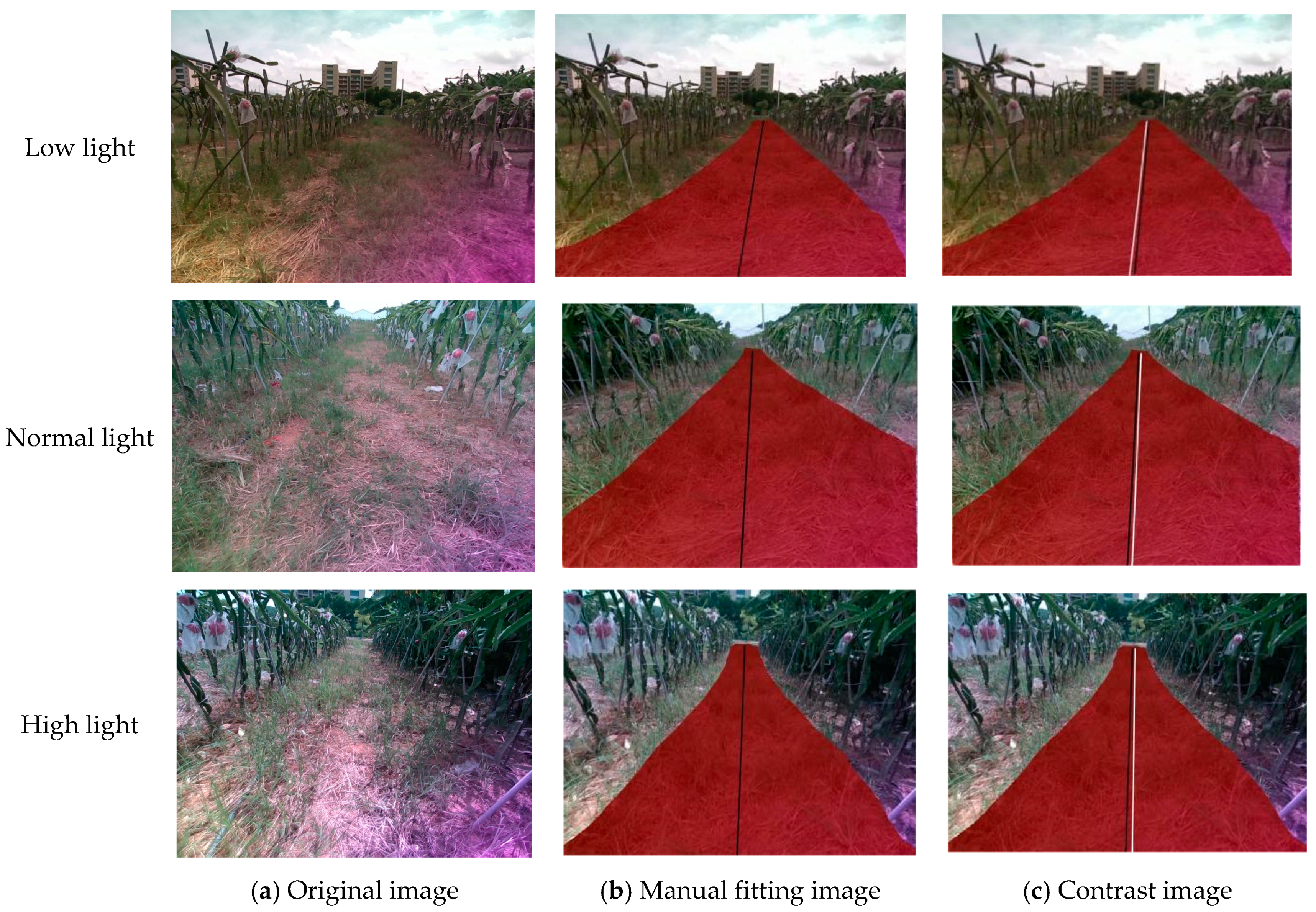 Agronomy 14 01119 g011