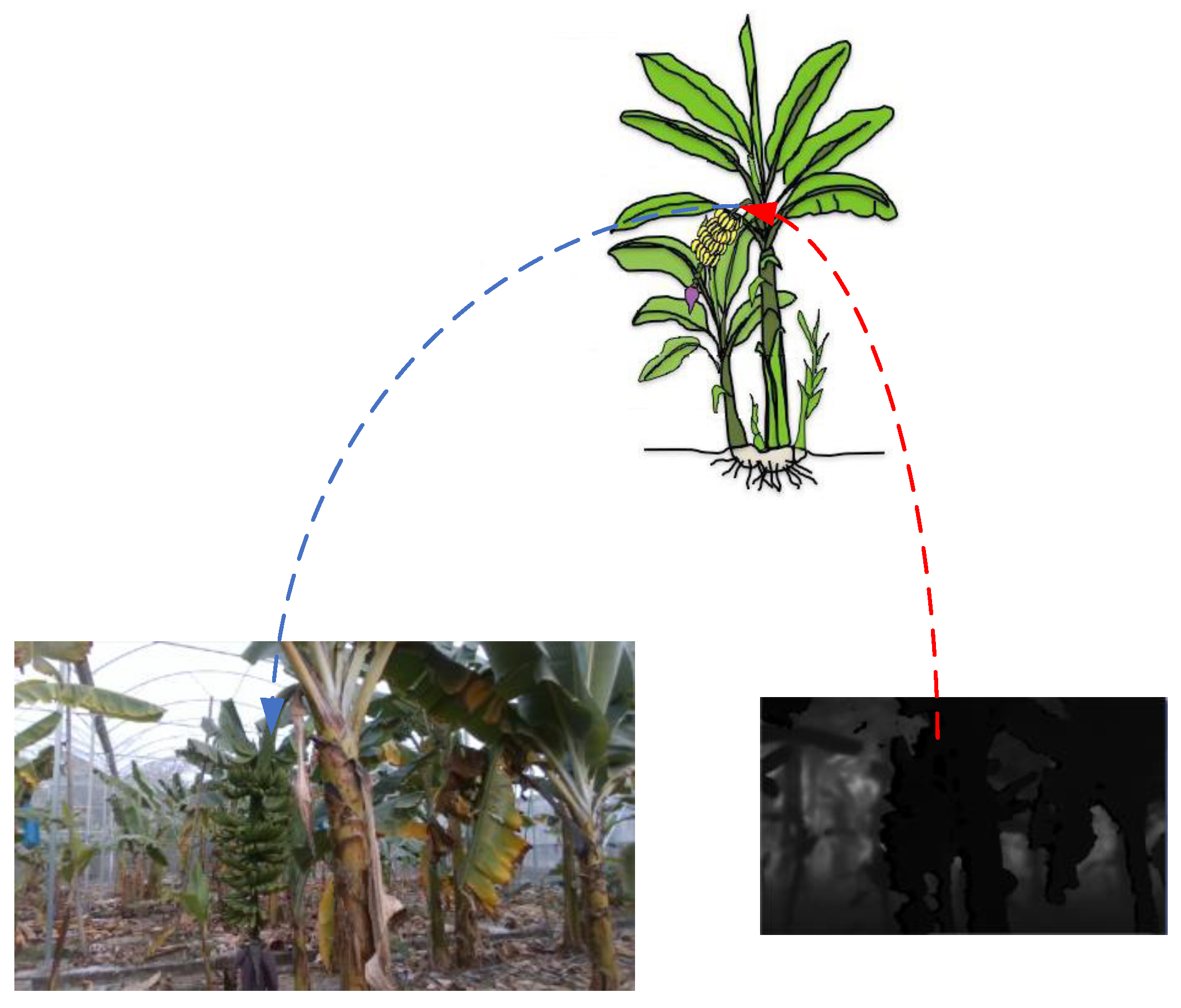 Agronomy 14 01123 g003