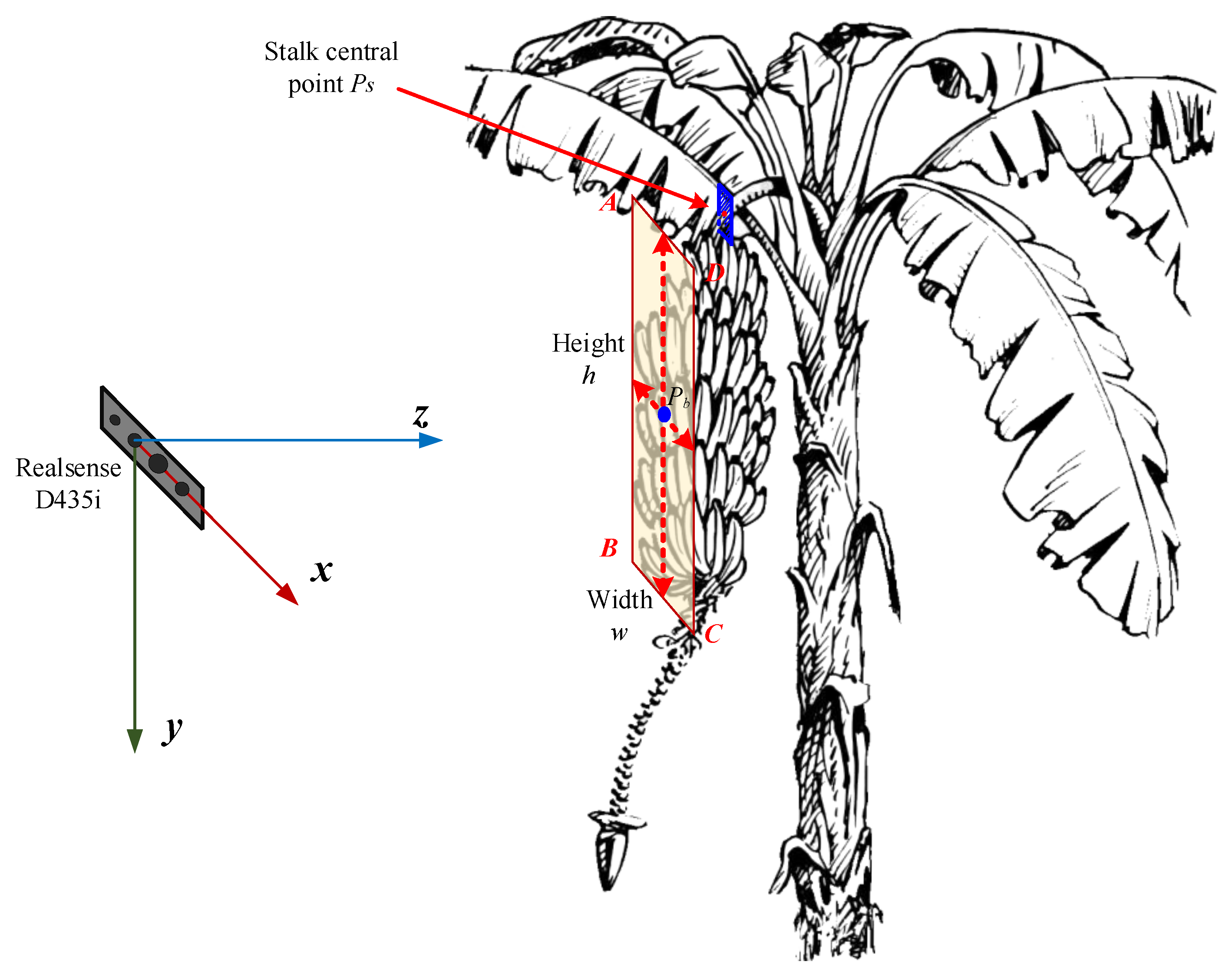 Agronomy 14 01123 g004