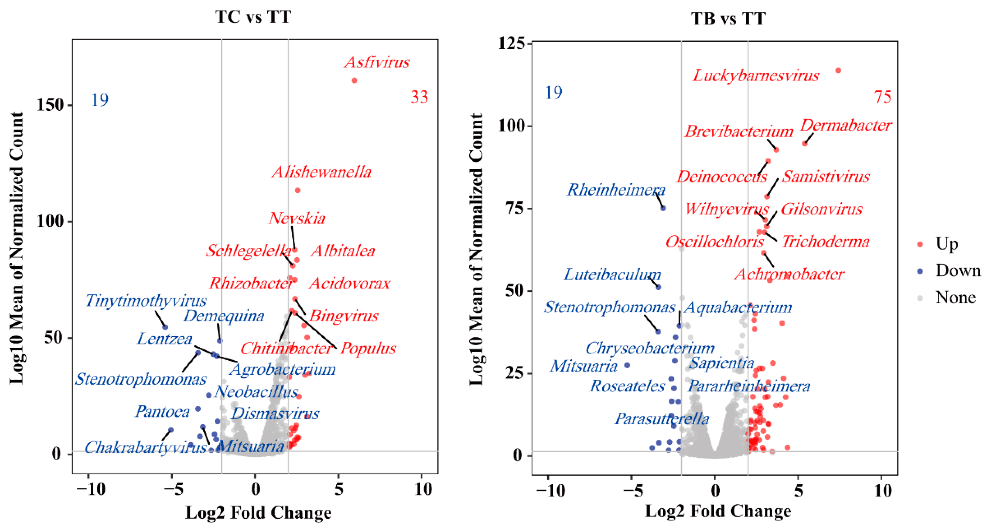 Agronomy 14 01129 g003