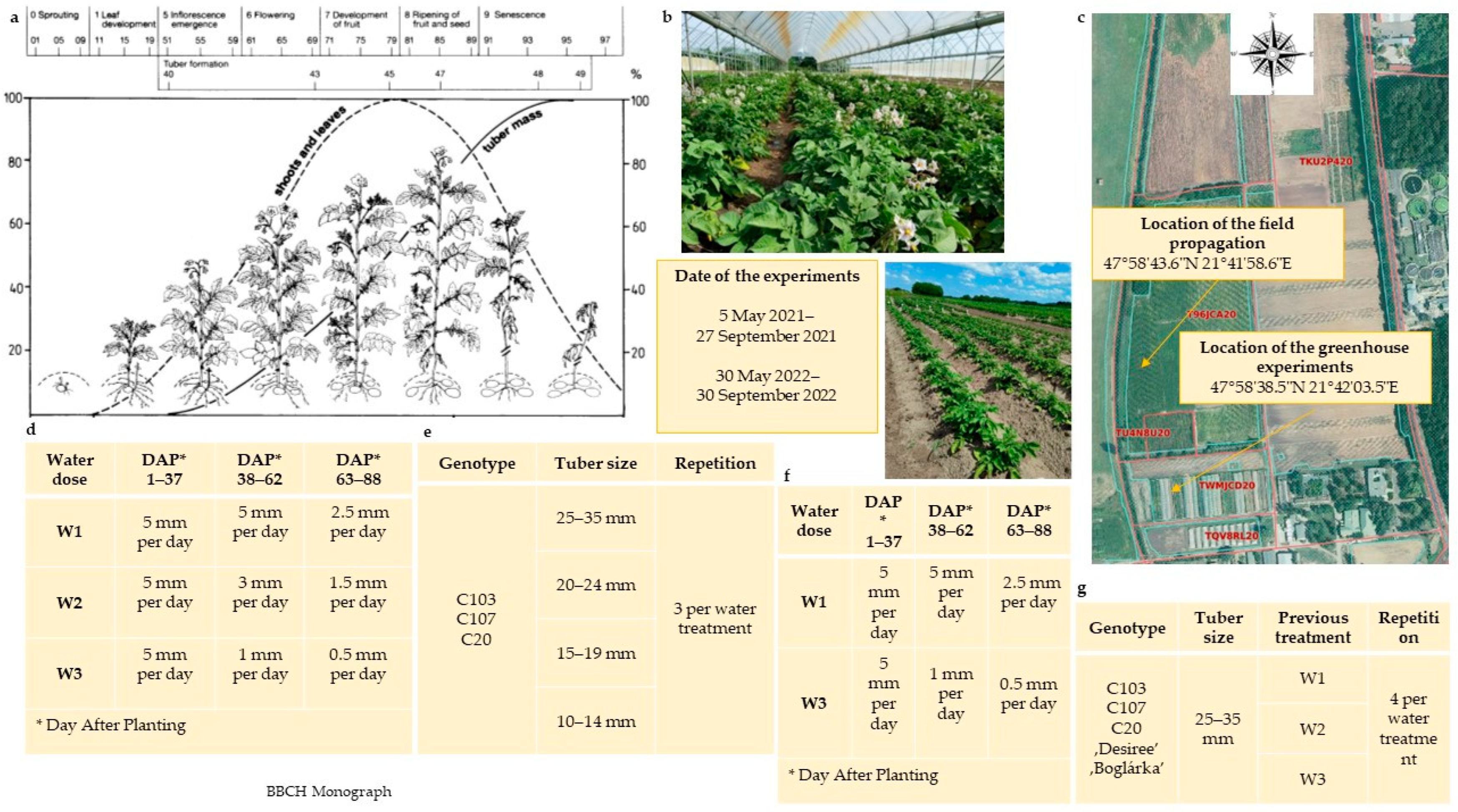 Agronomy 14 01131 g002