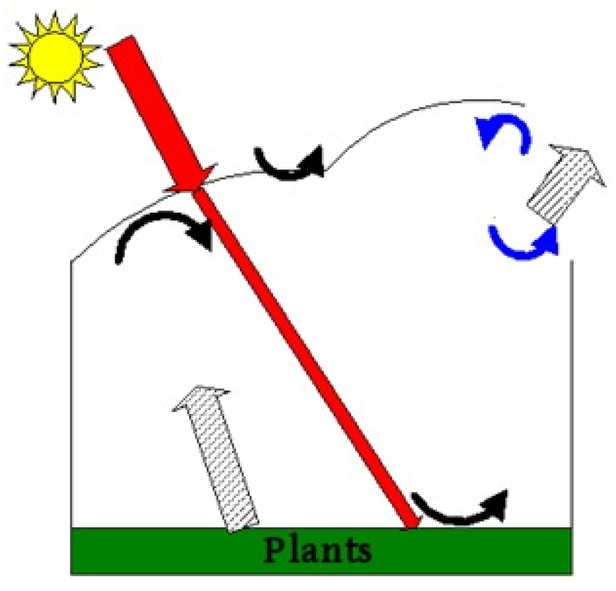 Agronomy 14 01147 g001