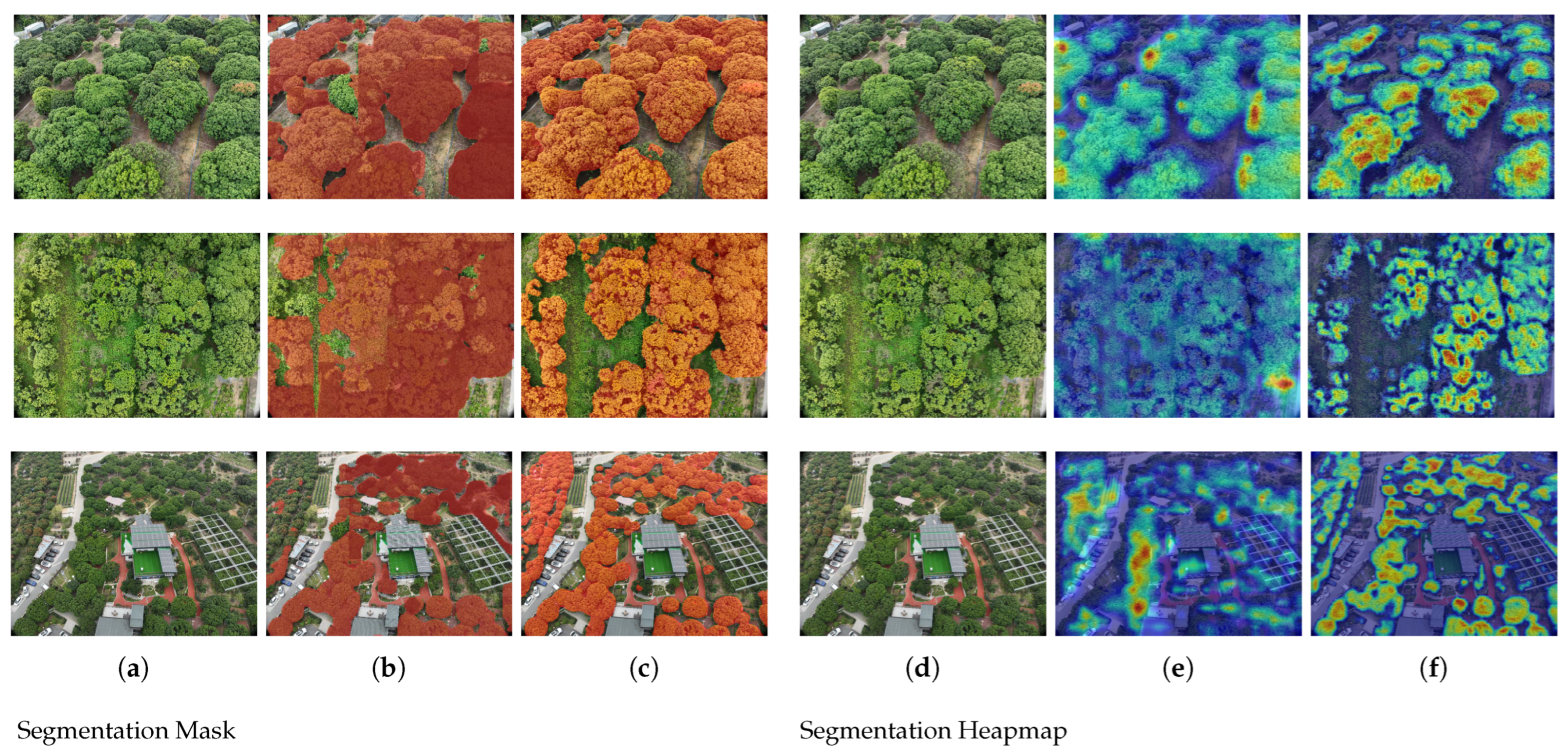 Agronomy 14 01155 g008