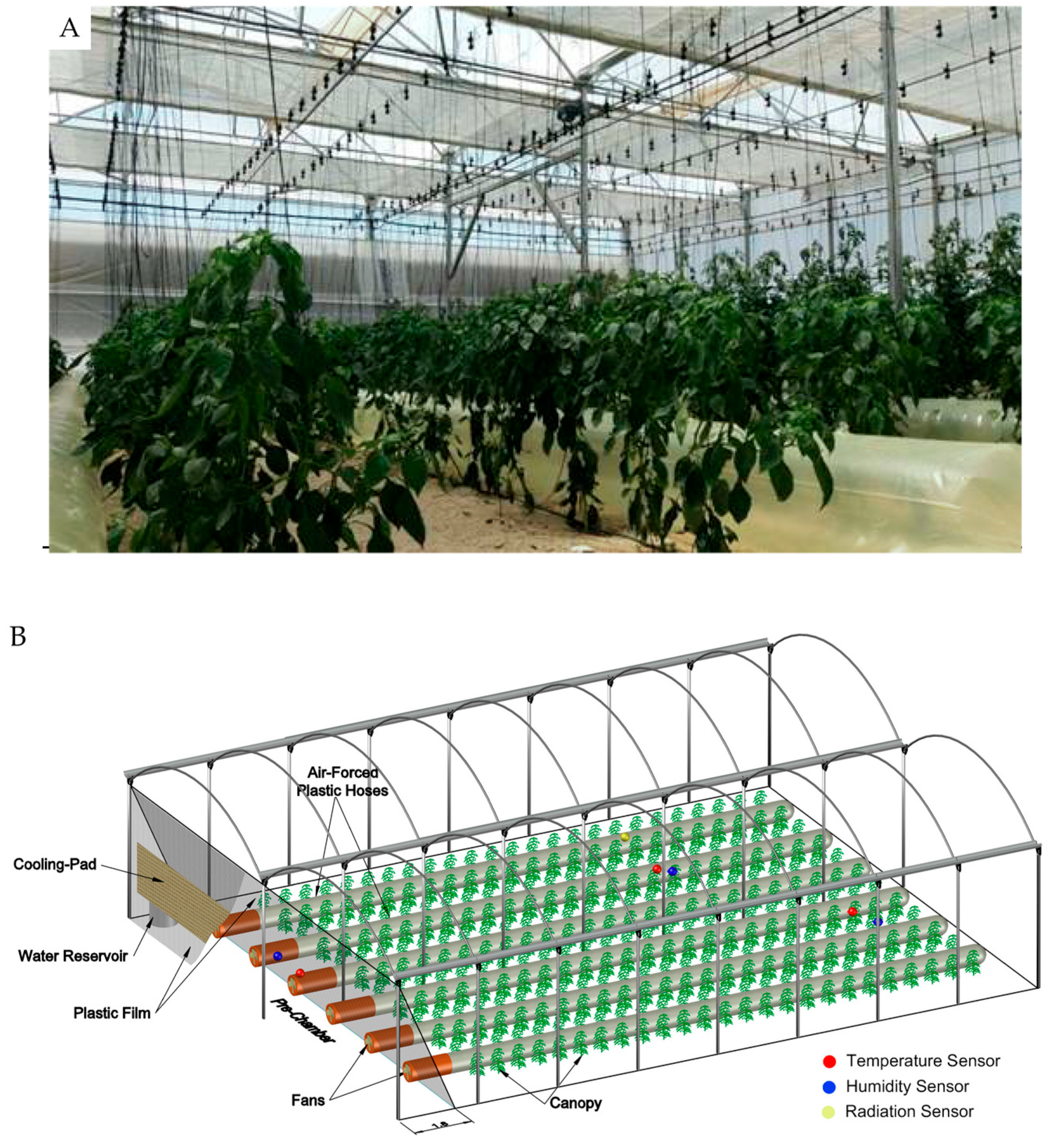Agronomy 14 01187 g001 Agronomy 14 01187 g001