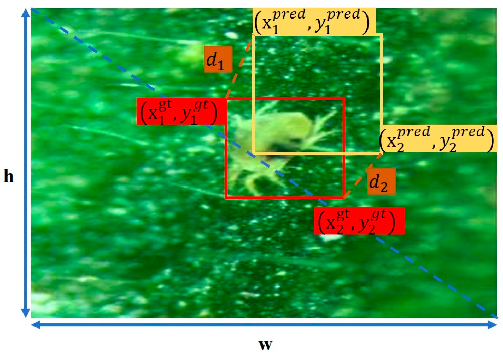 Agronomy 14 01197 g002