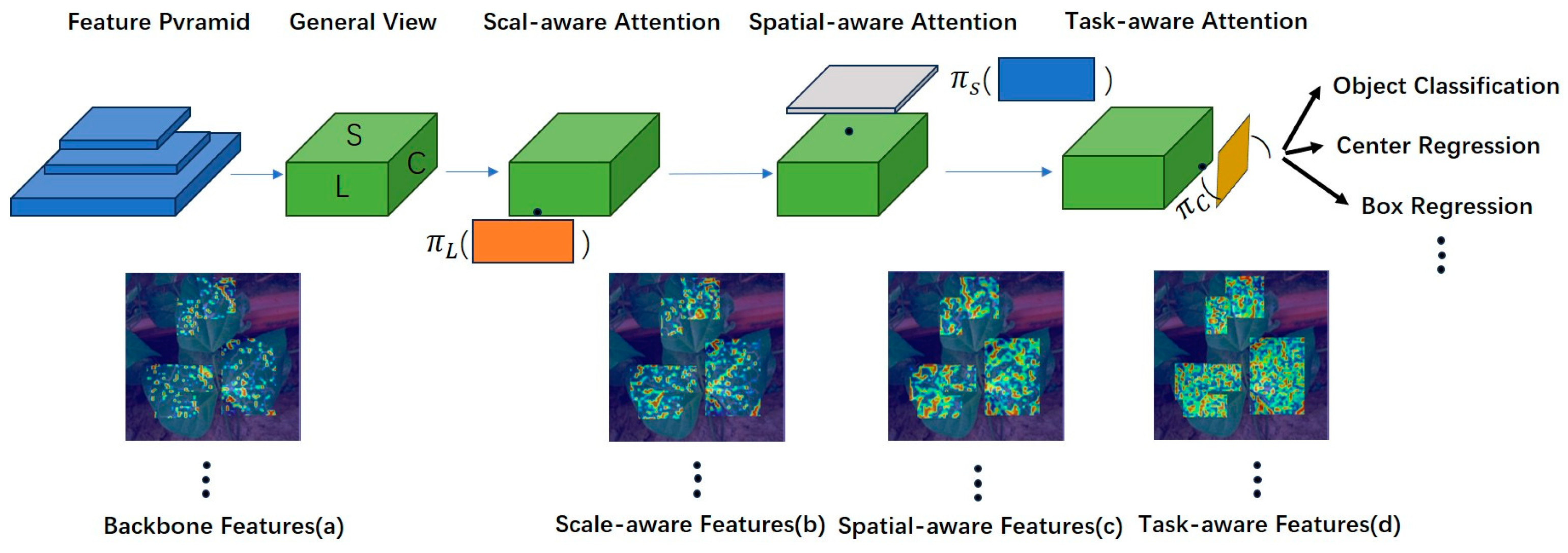 Agronomy 14 01197 g004