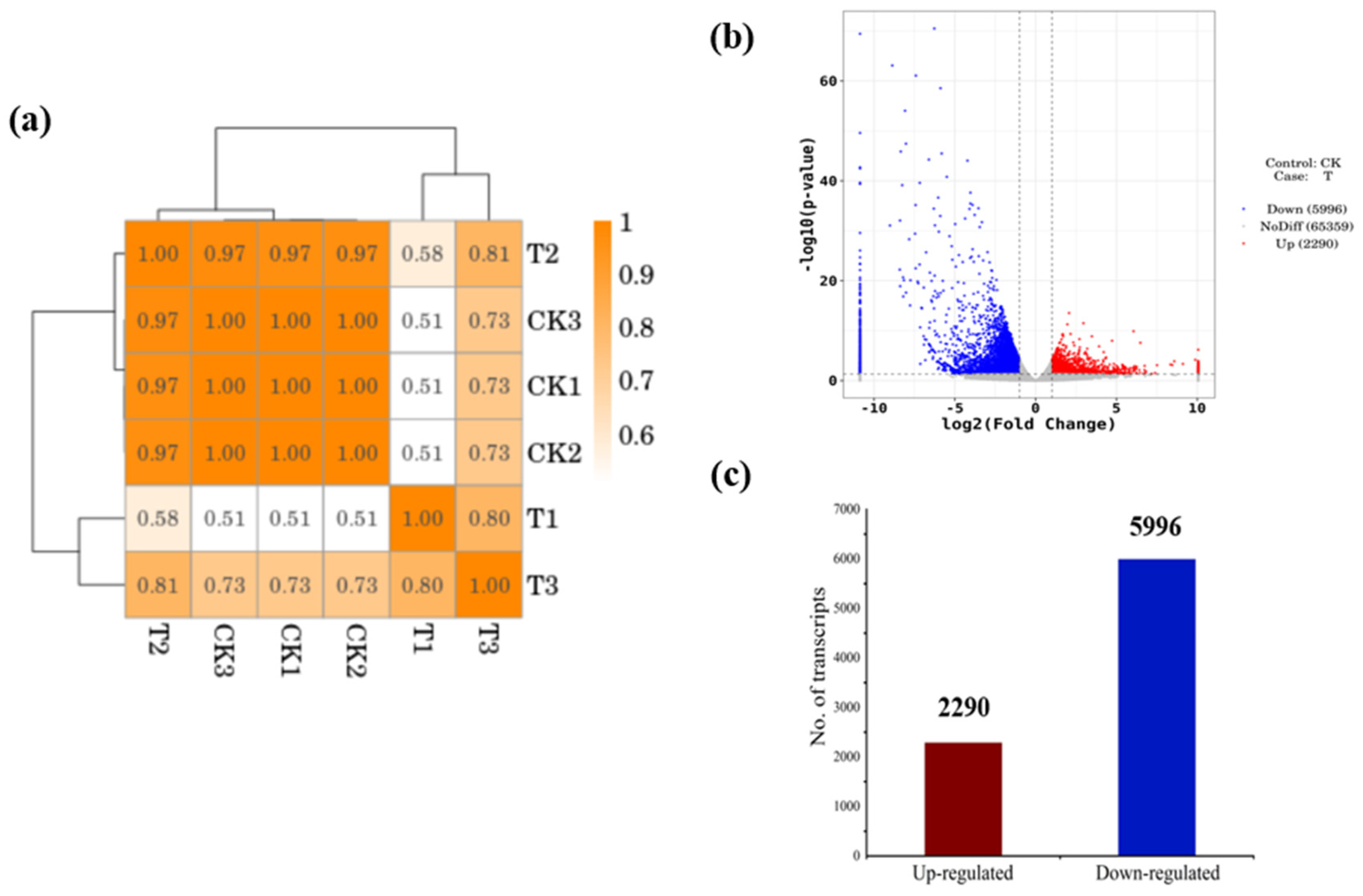 Agronomy 14 01209 g006