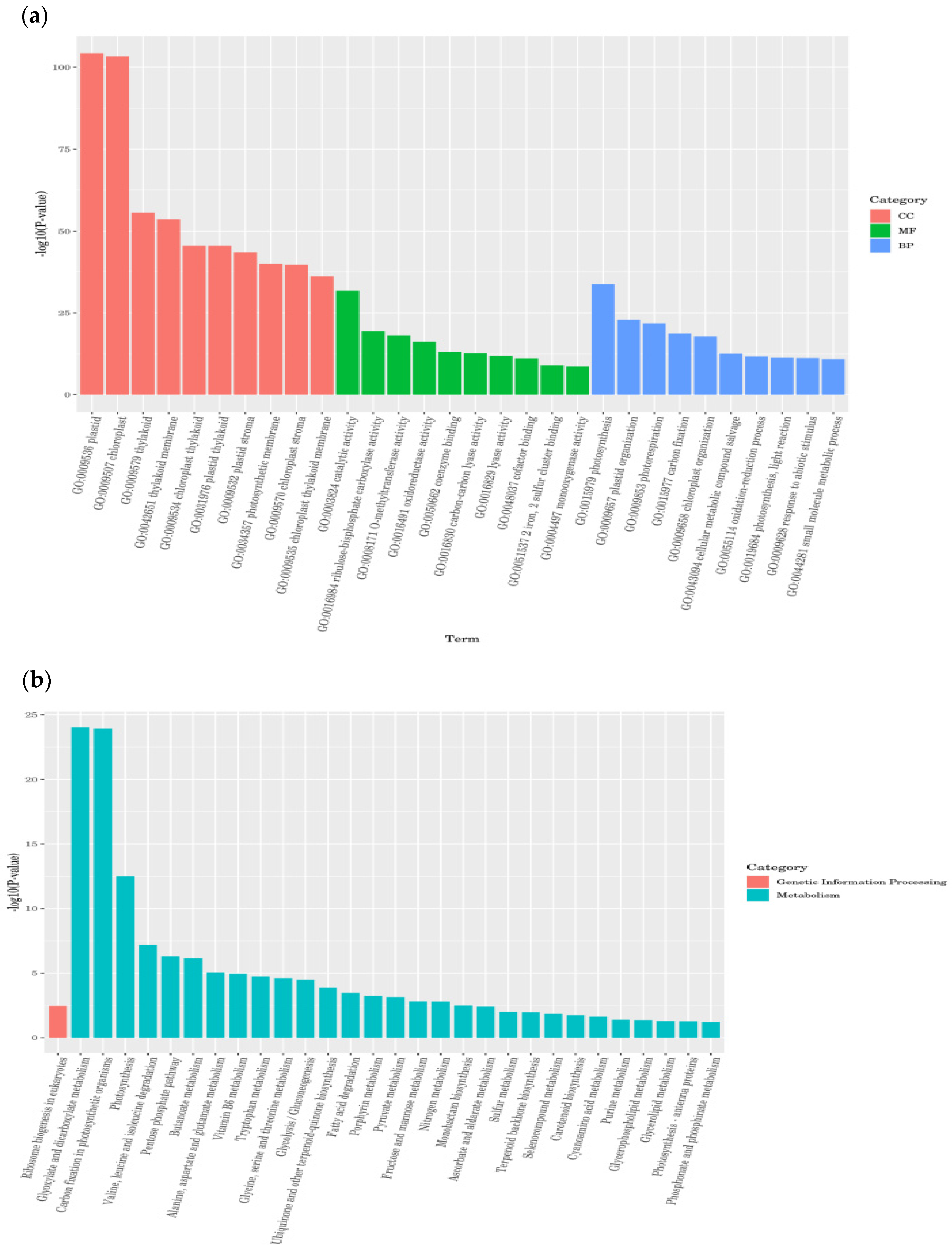 Agronomy 14 01209 g007