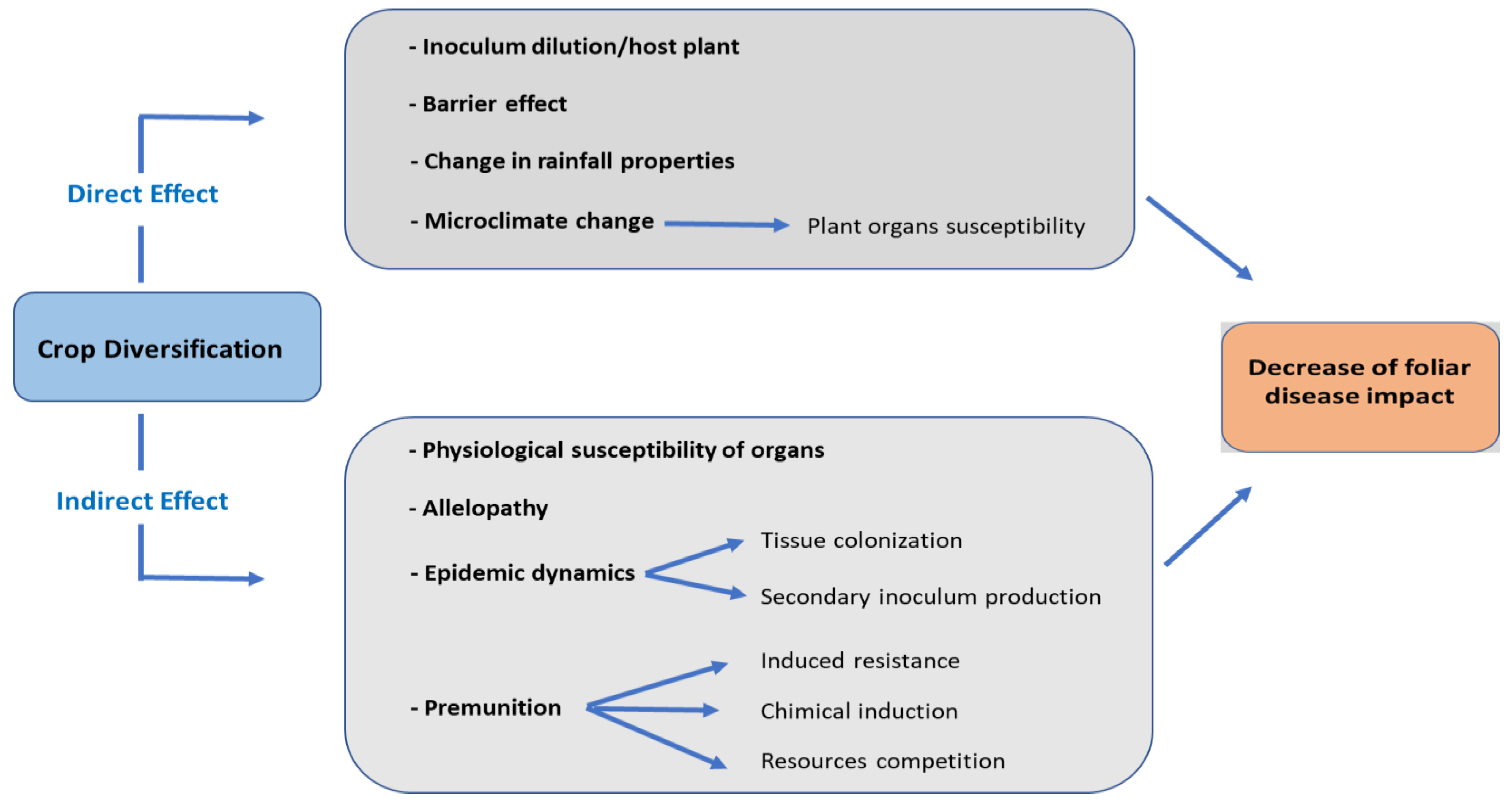 Agronomy 14 01210 g001