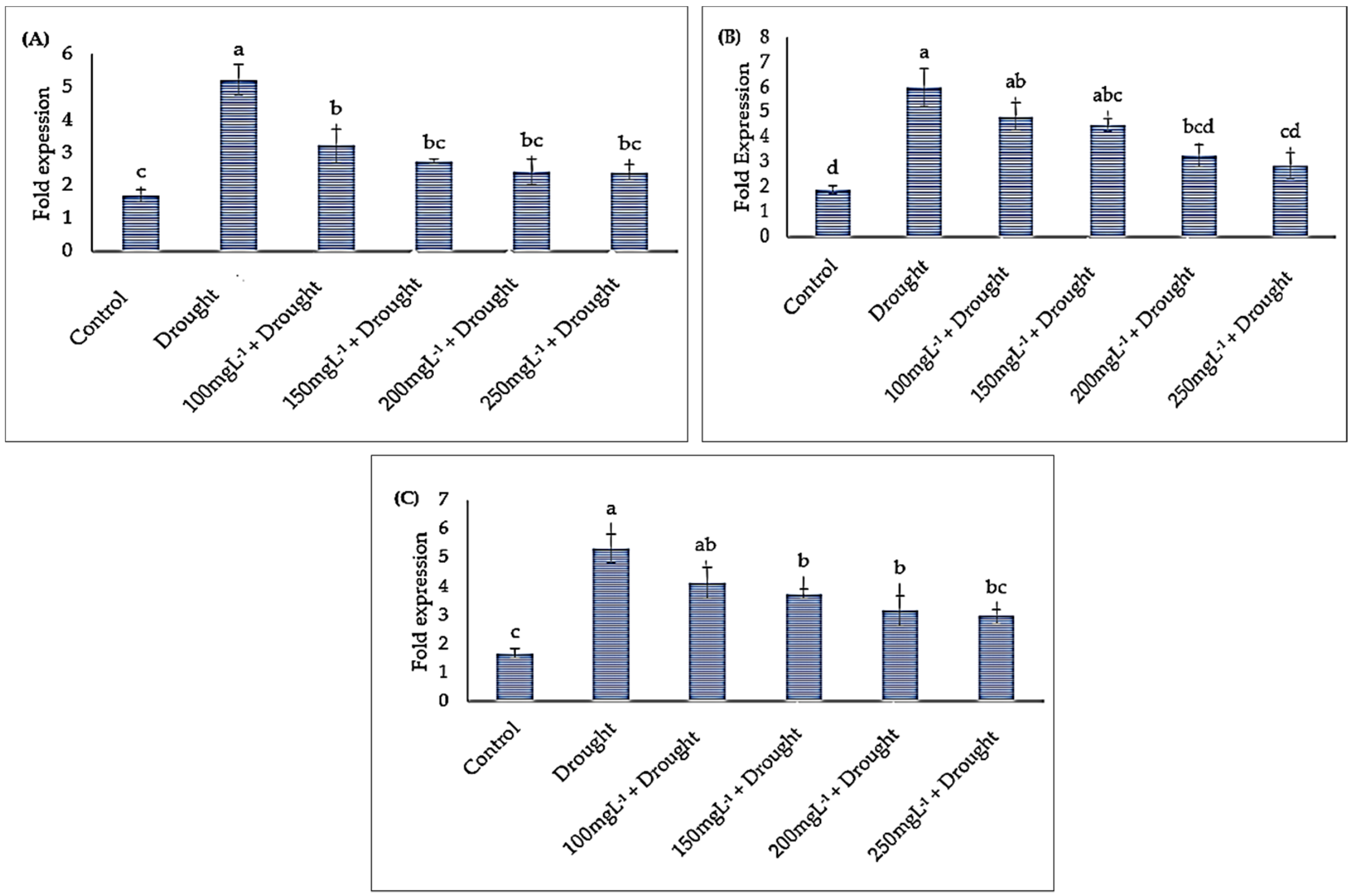 Agronomy 14 01227 g001