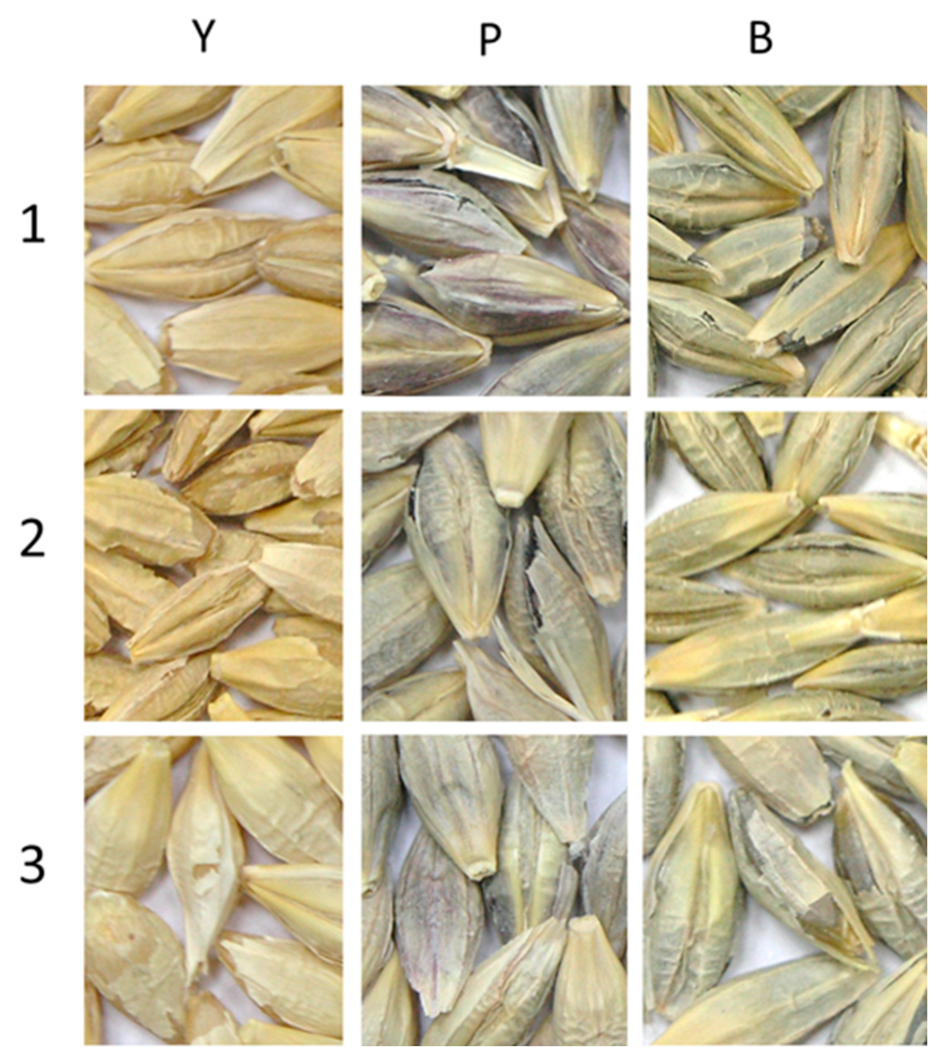 Agronomy 14 01231 g002