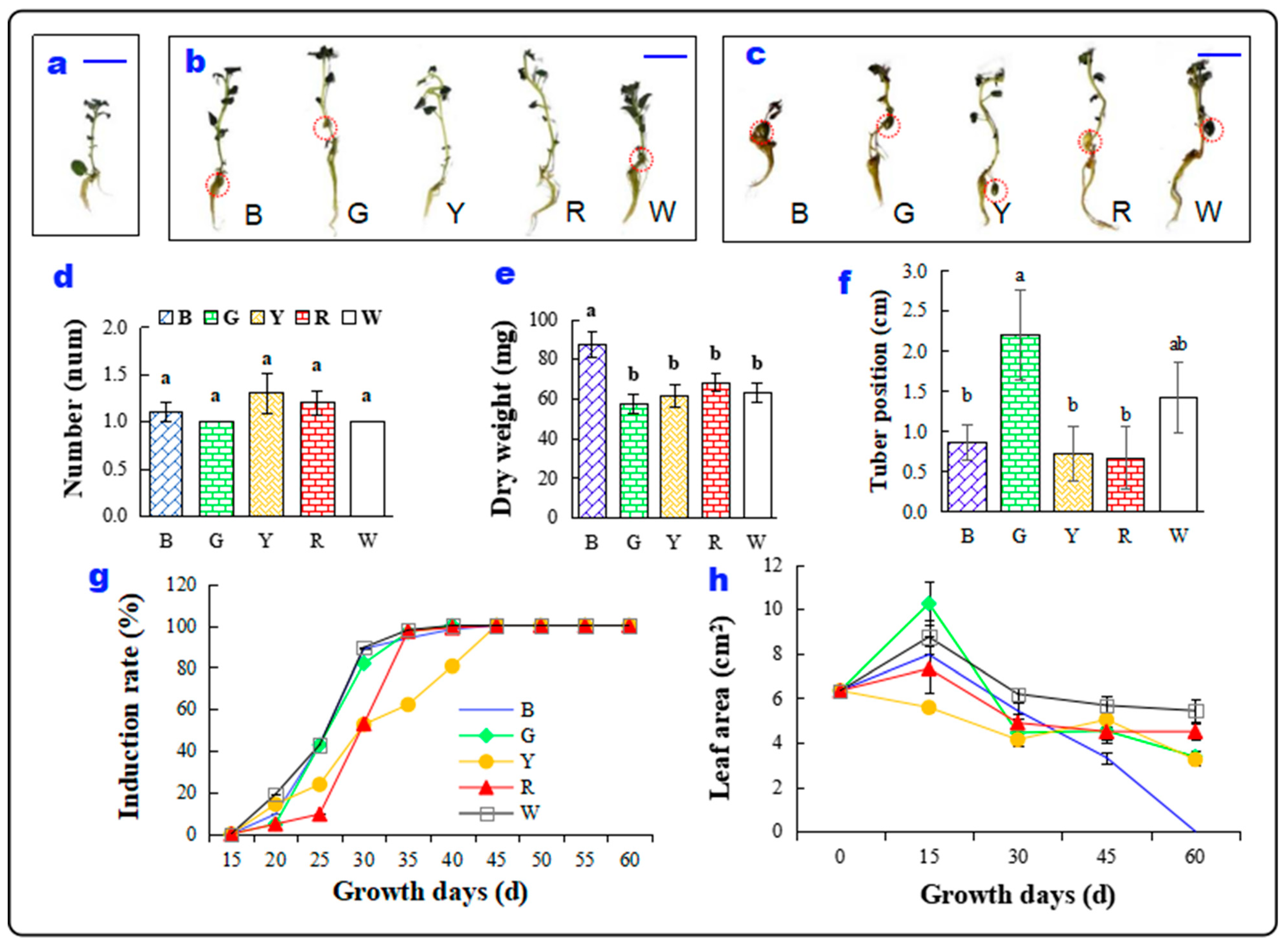 Agronomy 14 01232 g001
