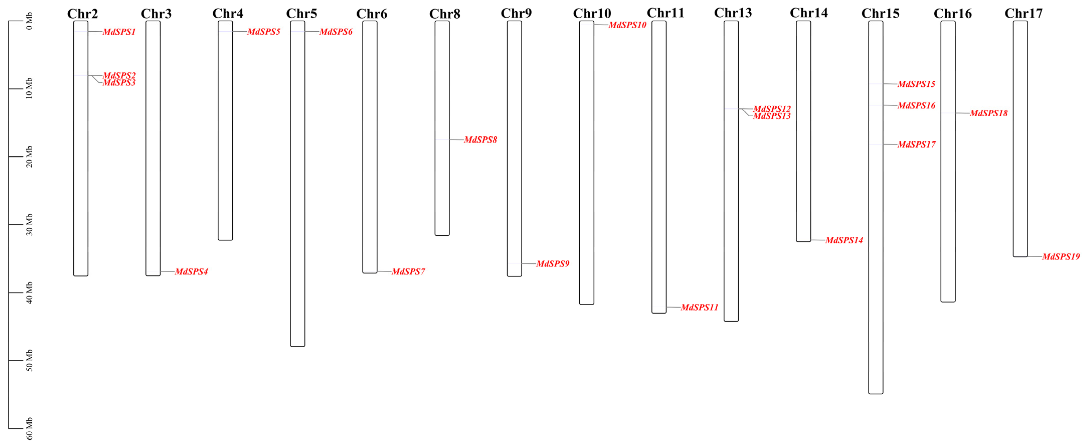 Agronomy 14 01237 g001