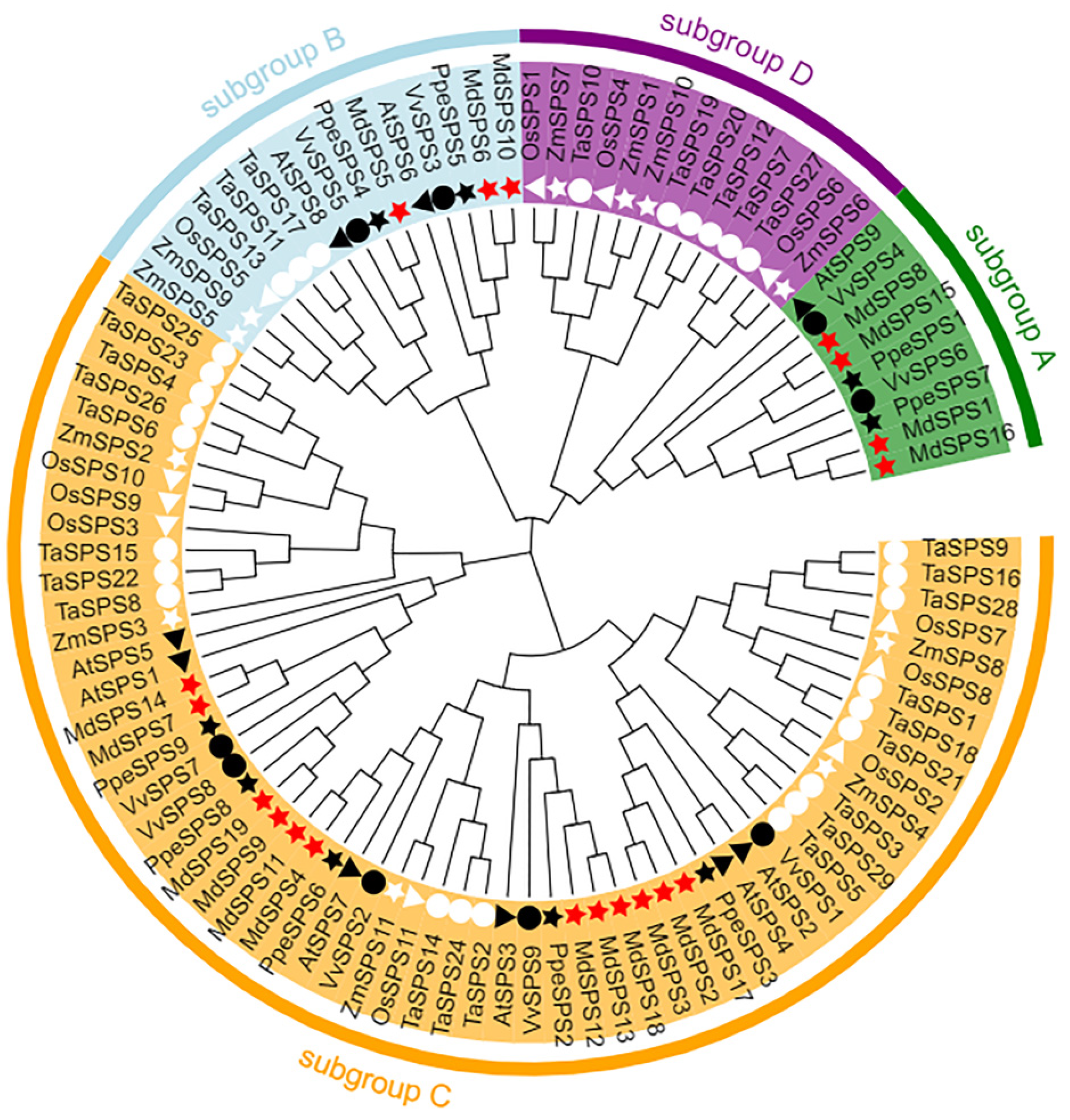 Agronomy 14 01237 g002