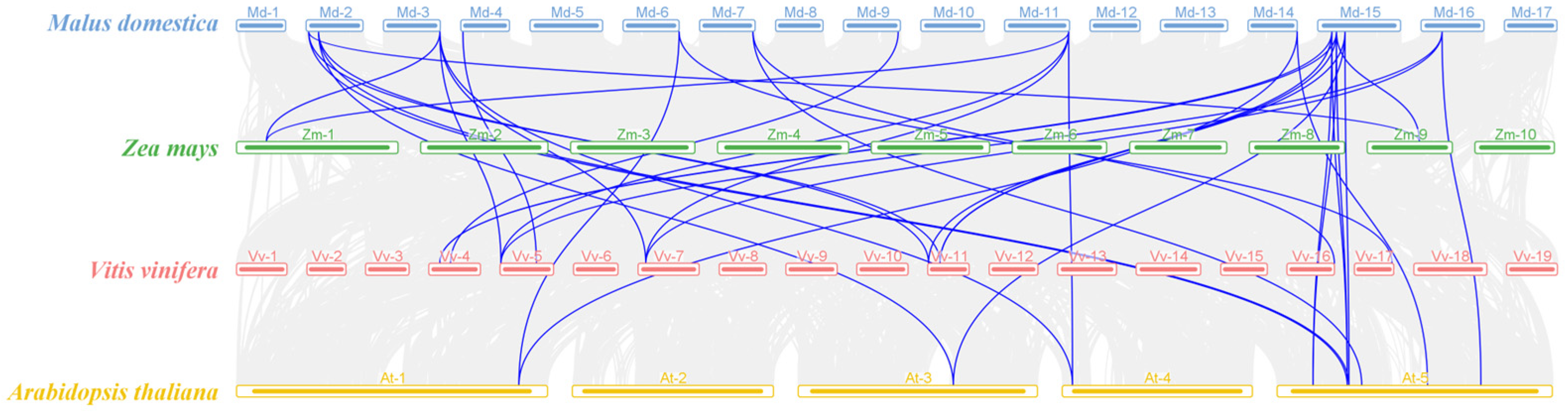 Agronomy 14 01237 g003