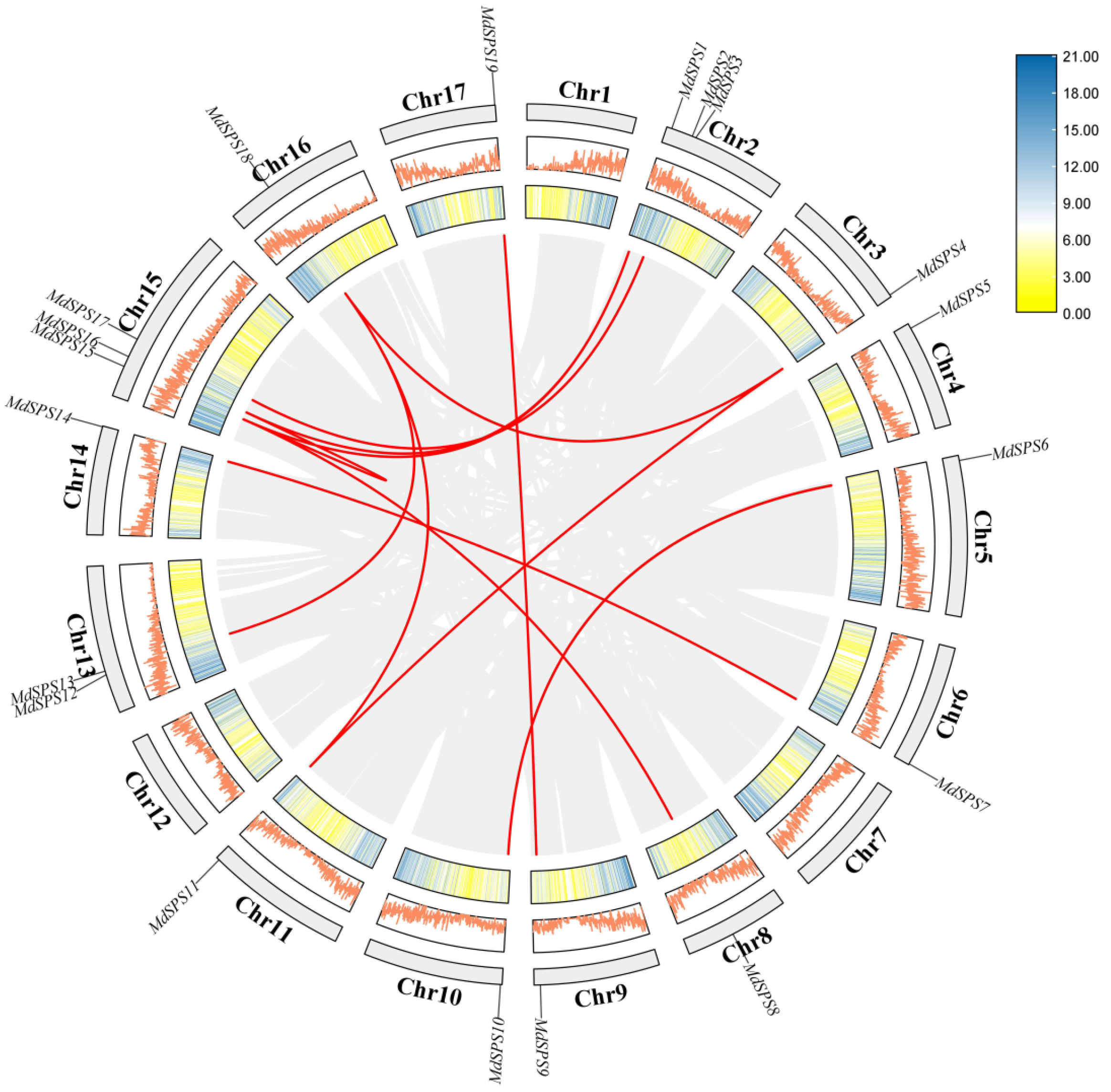Agronomy 14 01237 g004