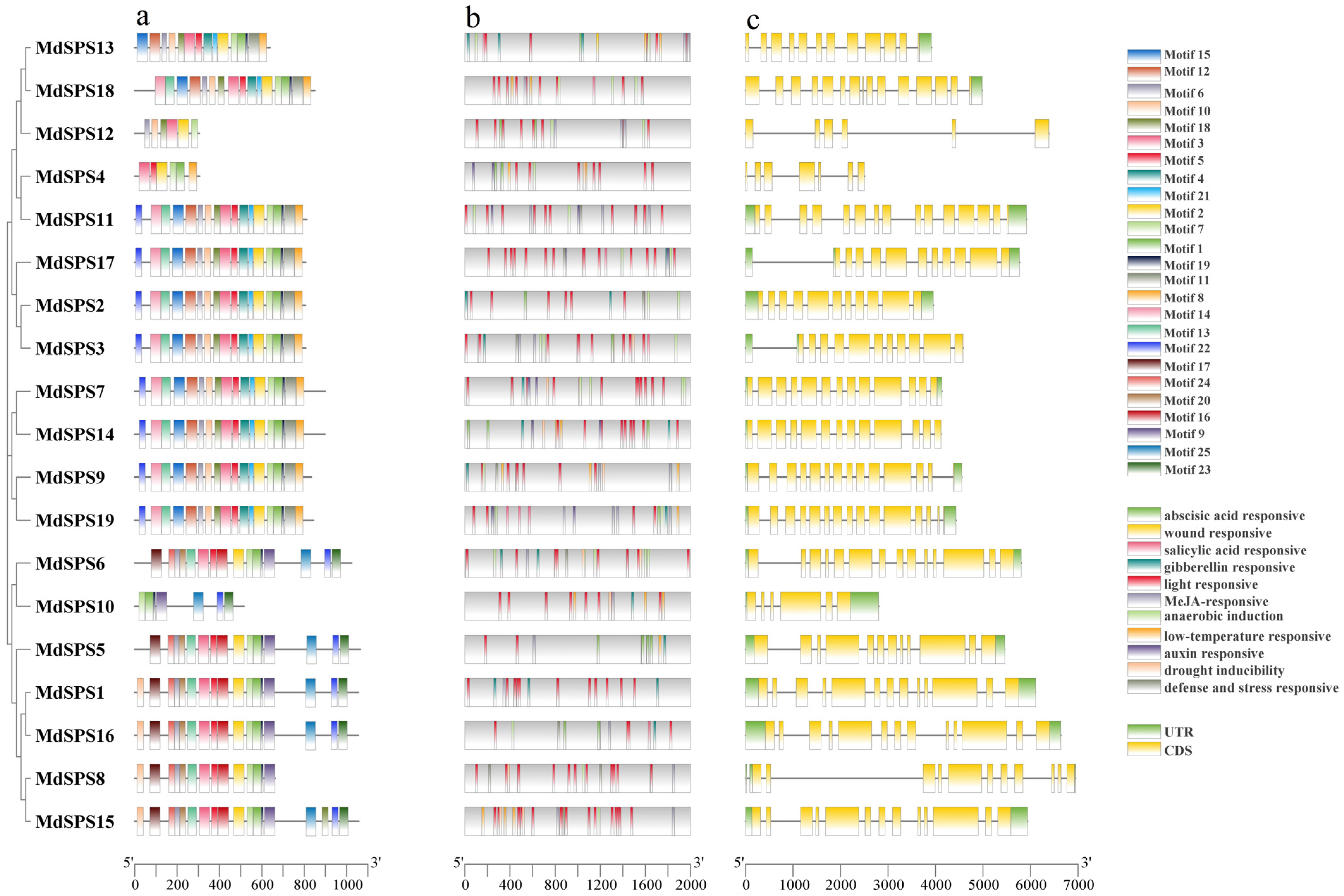 Agronomy 14 01237 g005