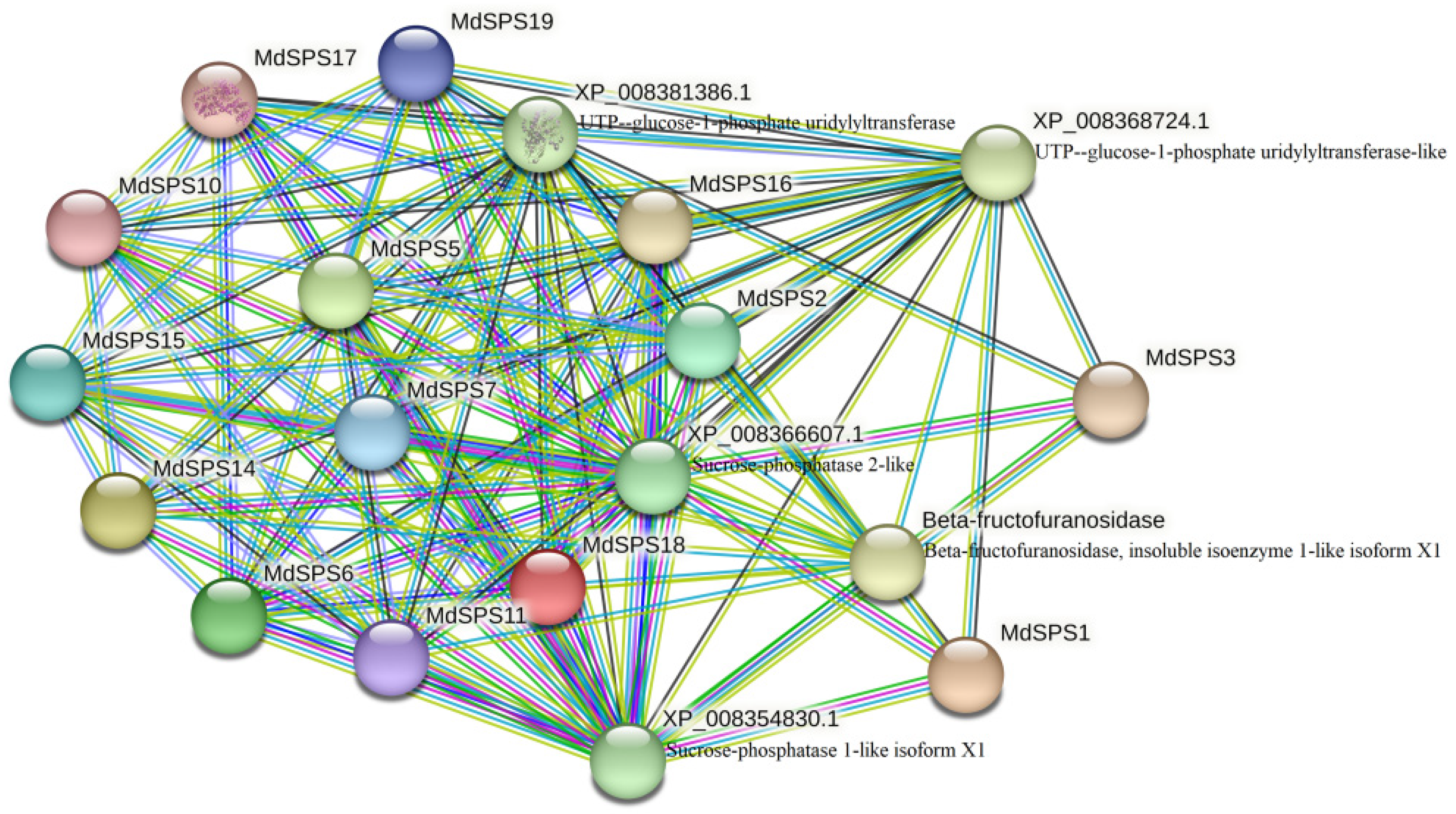 Agronomy 14 01237 g008