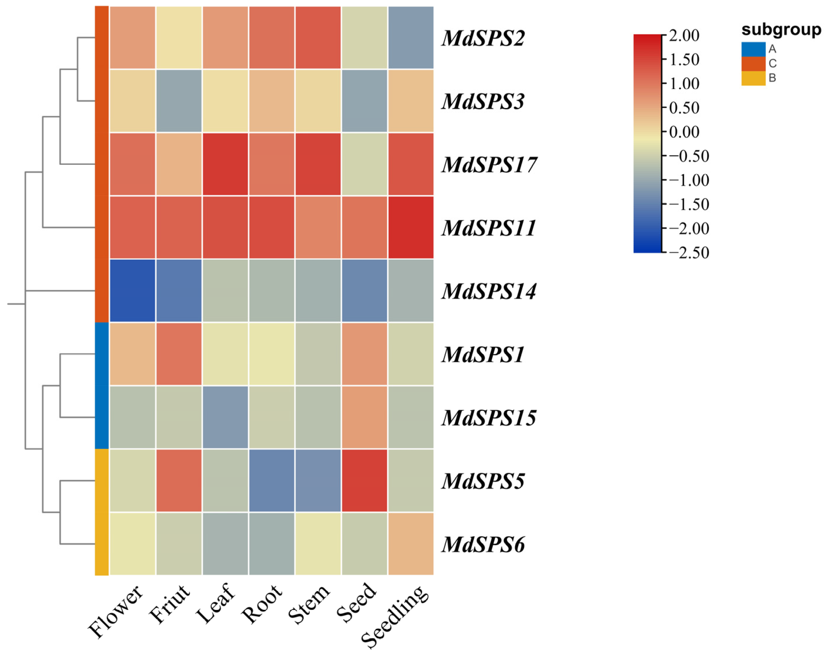 Agronomy 14 01237 g009