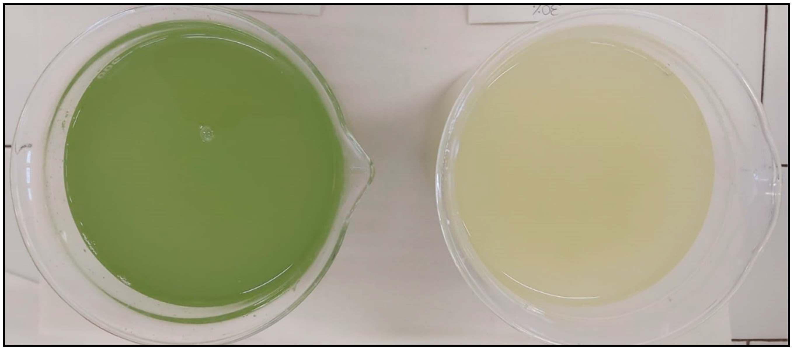 Agronomy 14 01246 g002