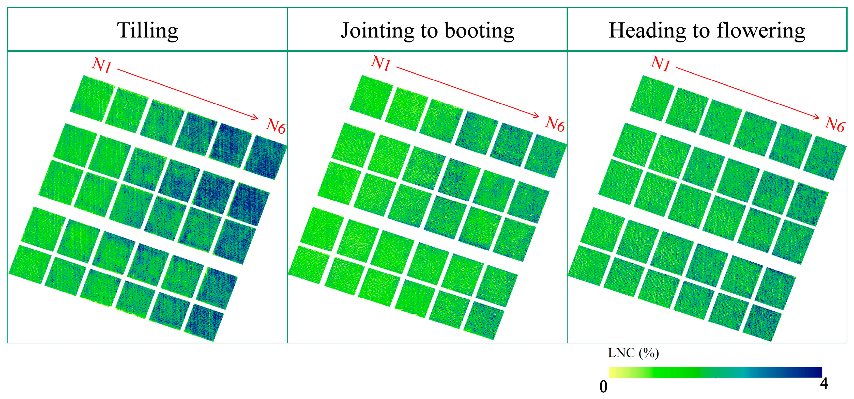 Agronomy 14 01248 g008