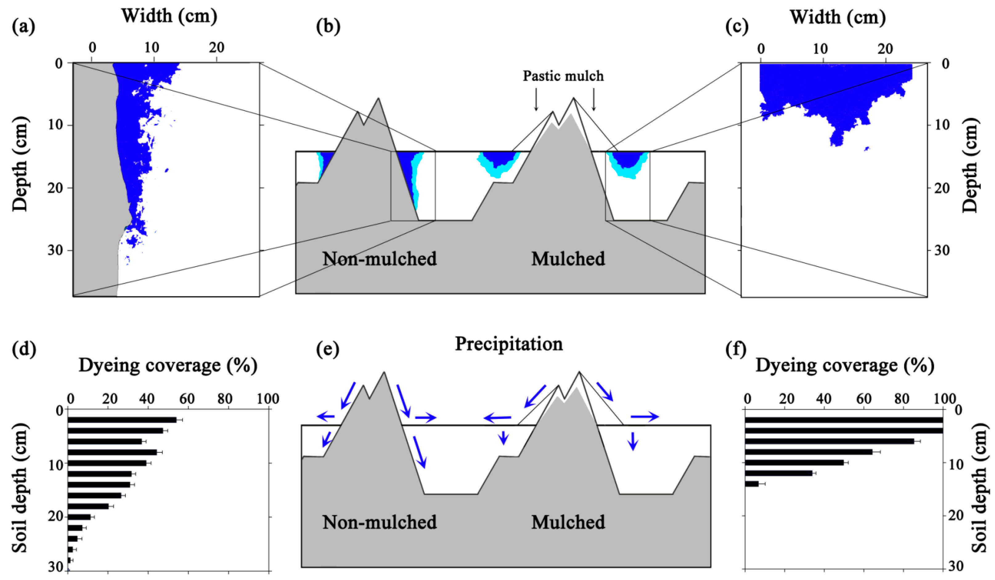Agronomy 14 01265 g003