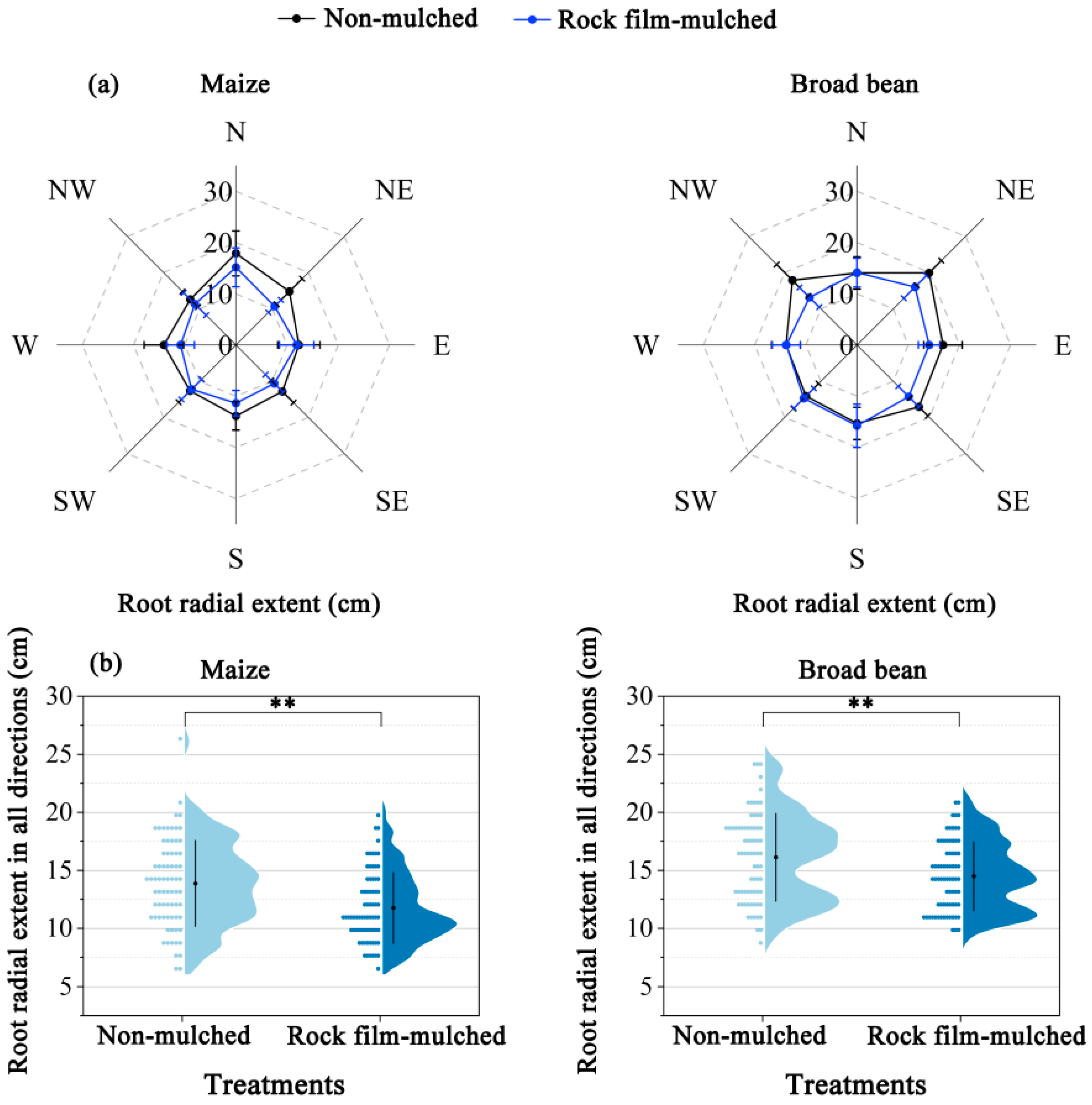 Agronomy 14 01265 g008