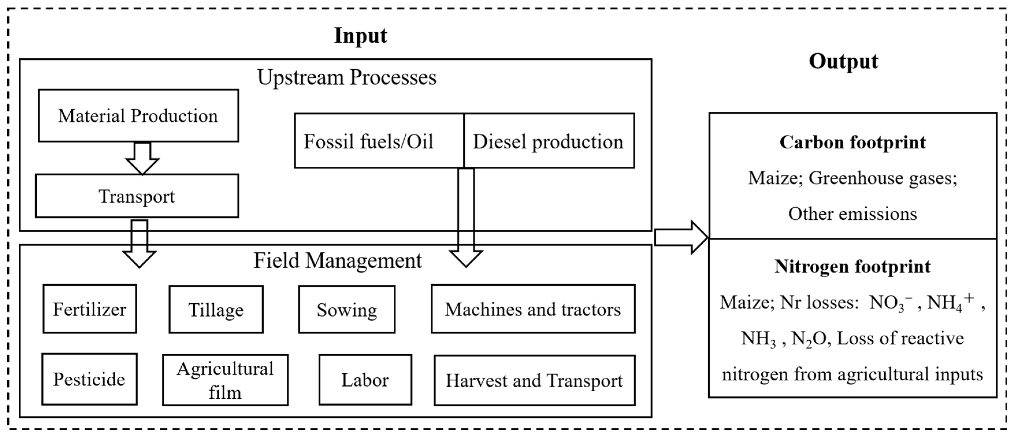 Agronomy 14 01273 g001