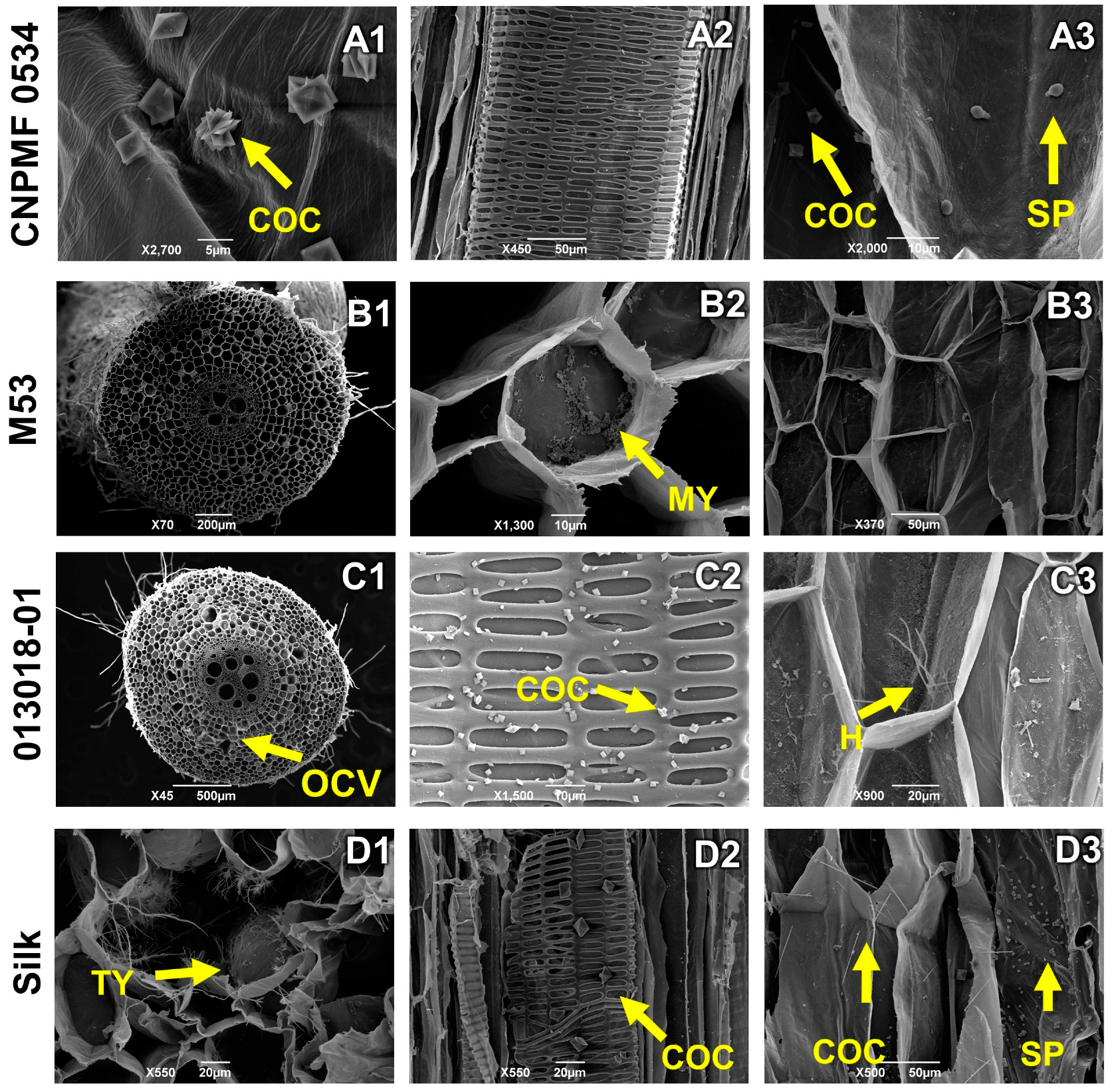Agronomy 14 01277 g007