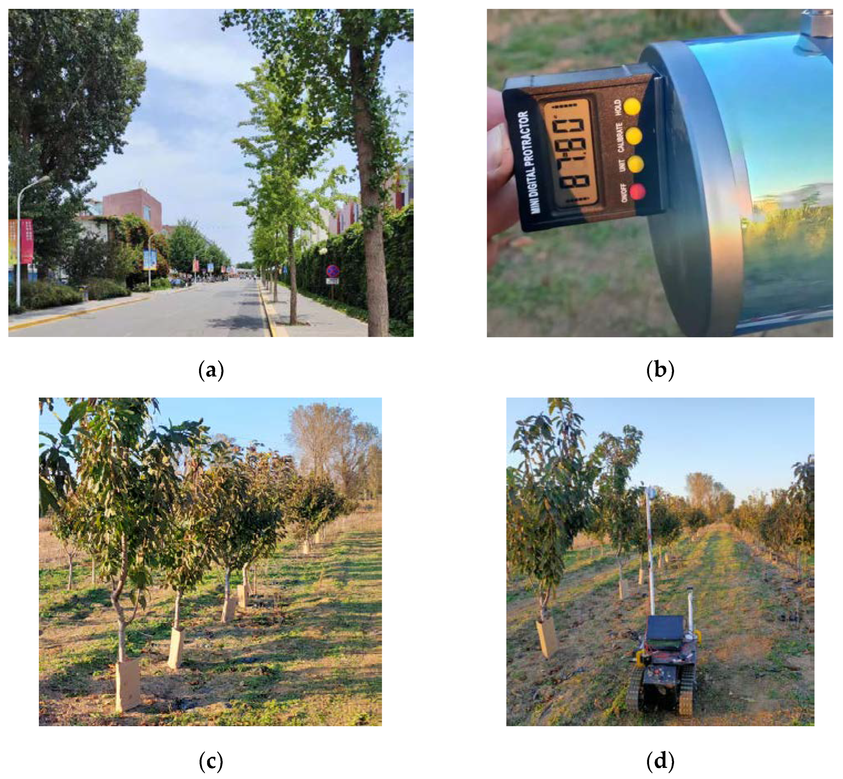 Agronomy 14 01279 g007