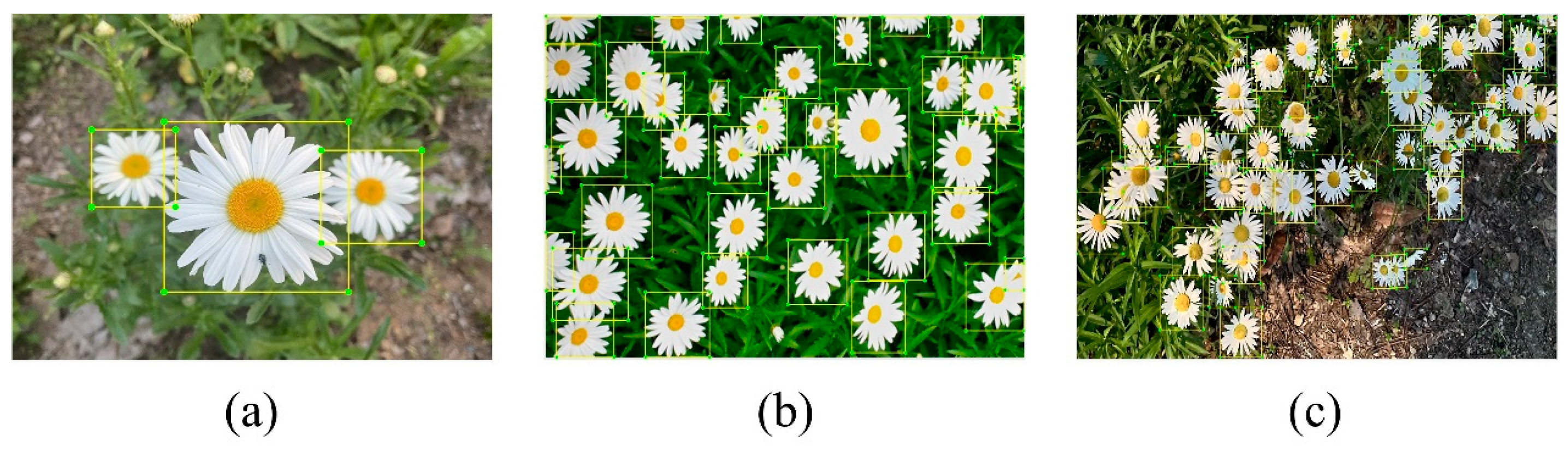 Agronomy 14 01285 g002