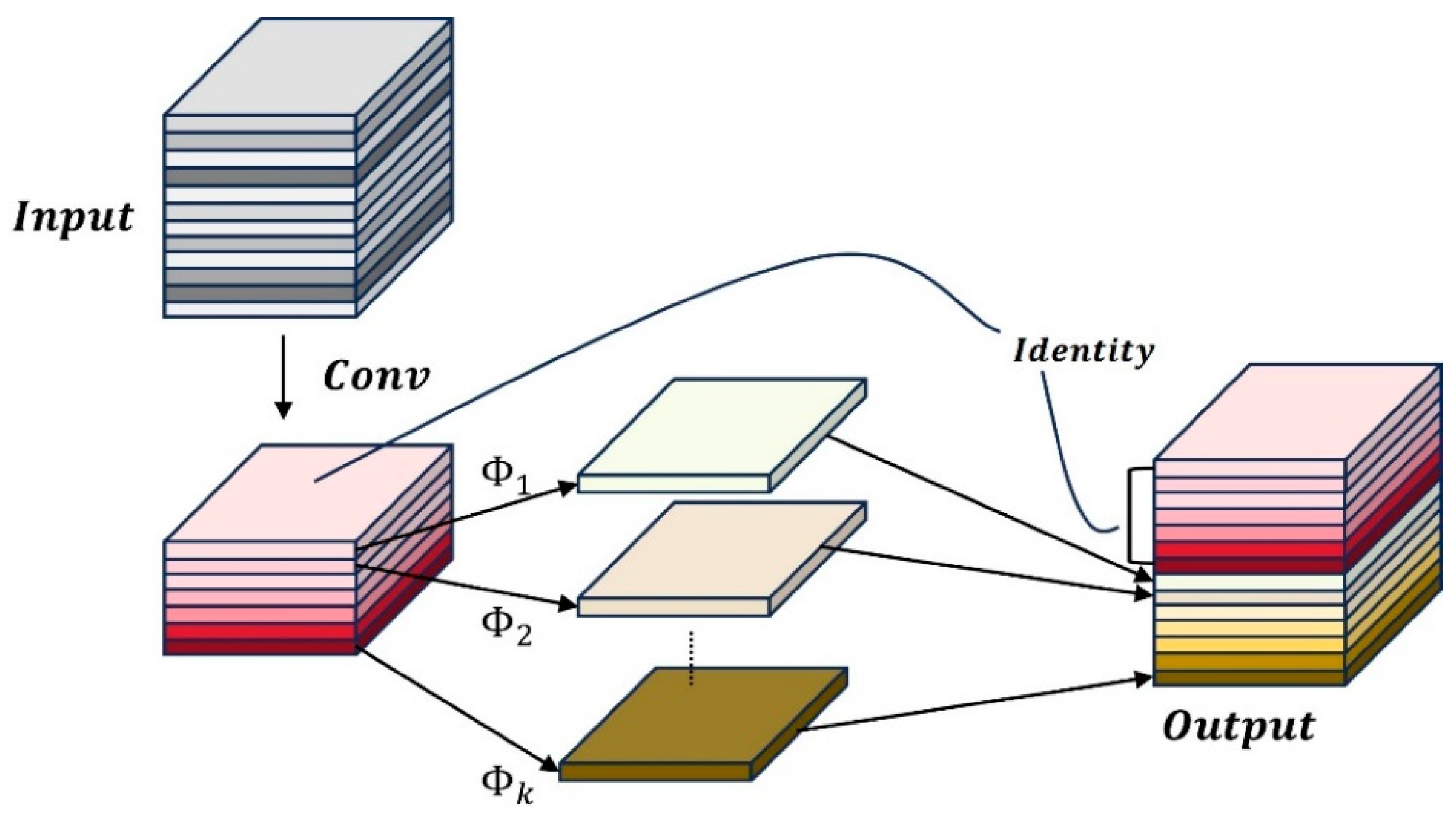 Agronomy 14 01285 g005