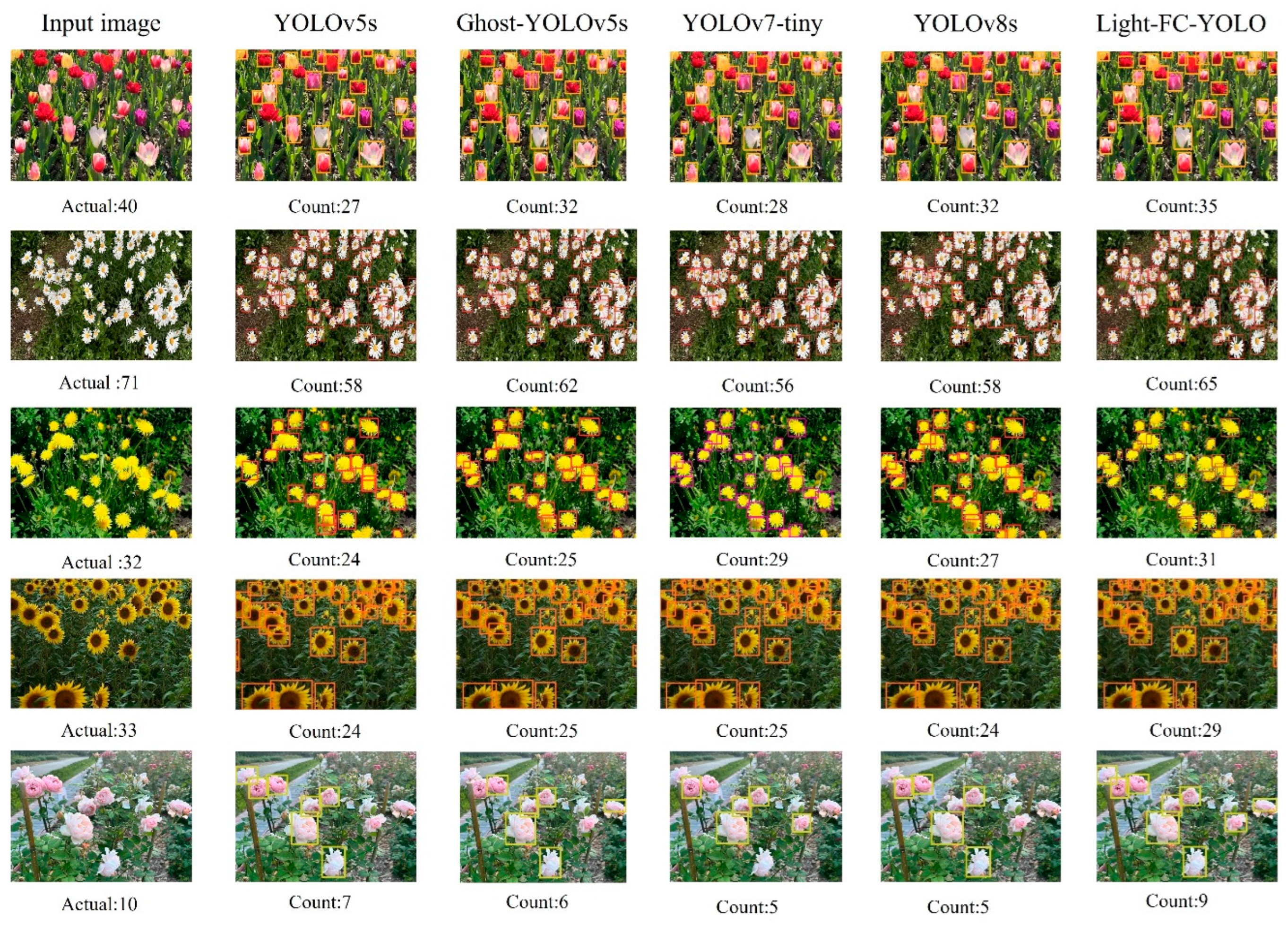 Agronomy 14 01285 g014